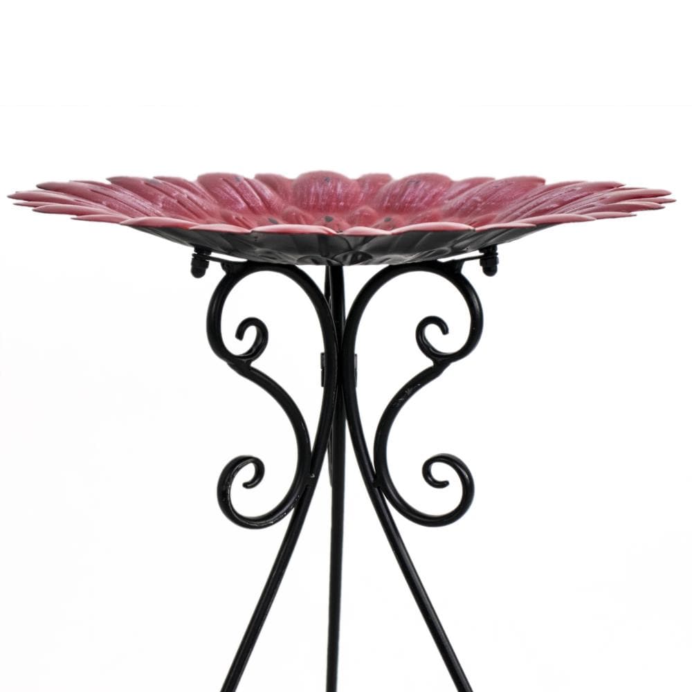 Backyard Expressions 906602 birdbaths - View #2
