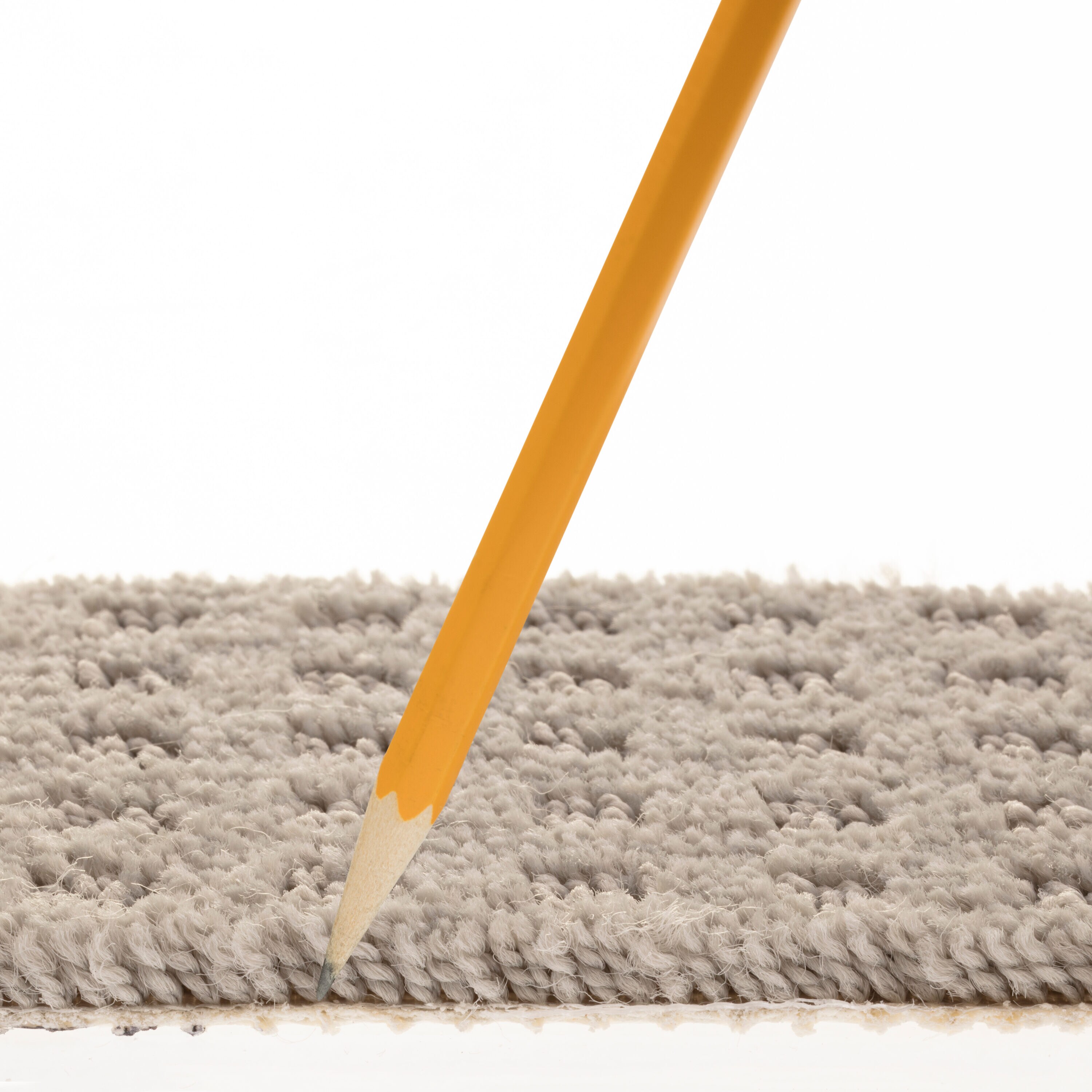 STAINMASTER PetProtect 7L898 - 541 - SAMP Carpet-Samples - View #7