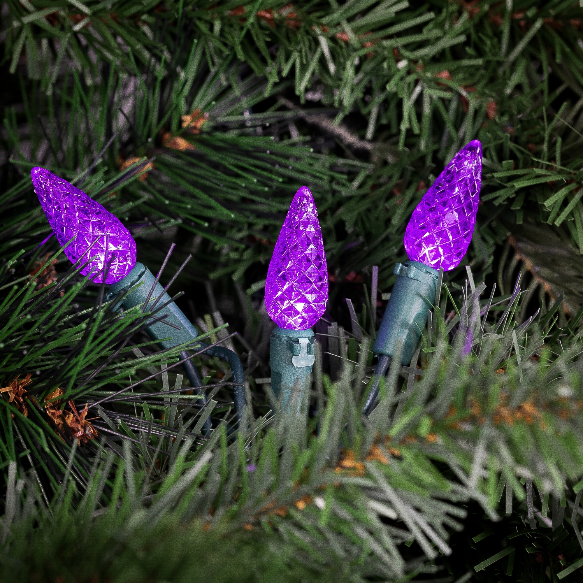 Northlight 32614105 Christmas-String-Lights - View #3