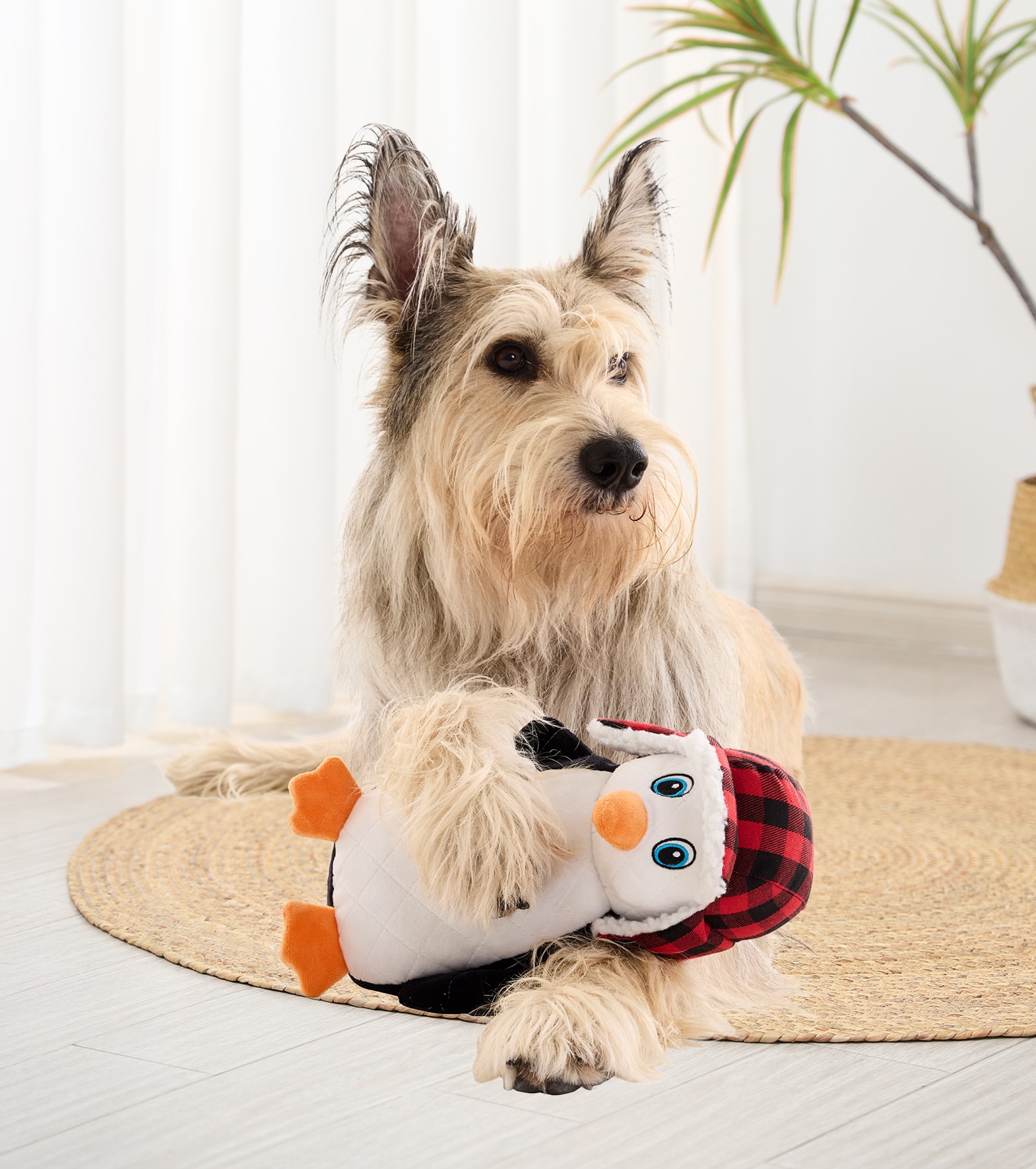 Holiday Living YT2502 Dog-Toys - View #4