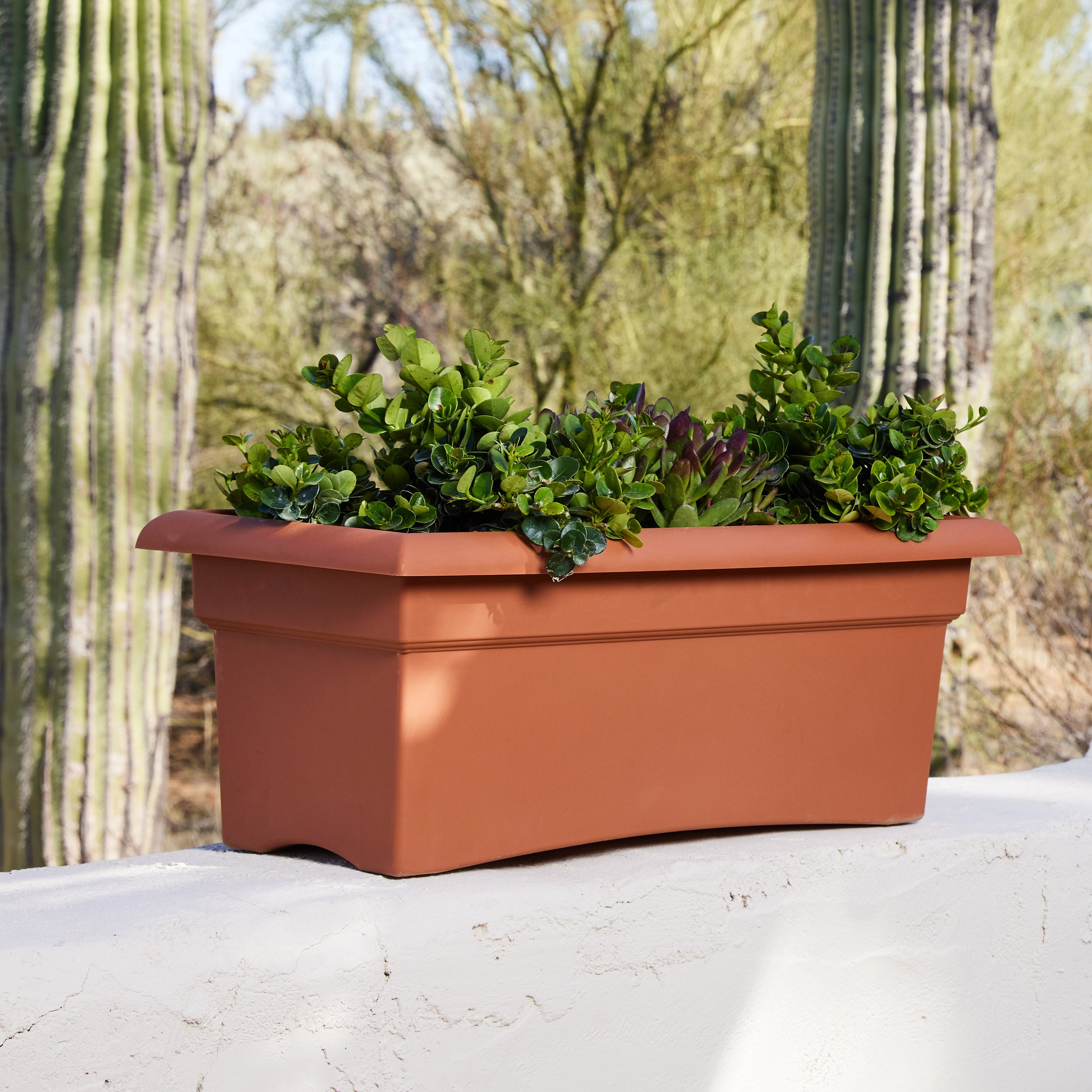 Bloem 57026C Planter-Window-Box - View #3
