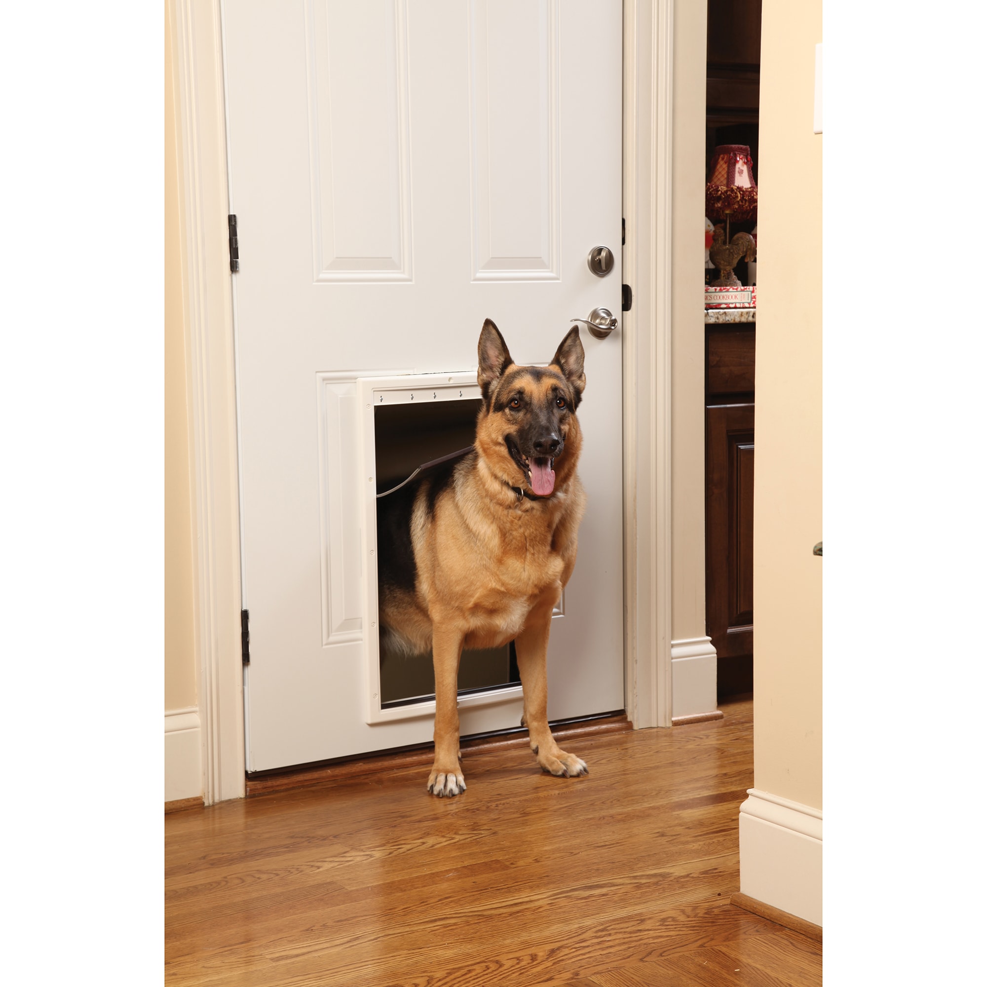 PetSafe PAC11-10863  - View #4