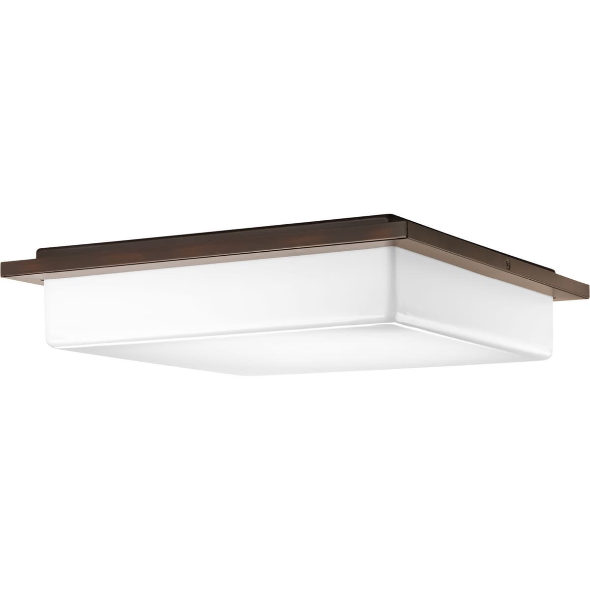 Progress Lighting P3432-2030K9 flushmounts - View #3