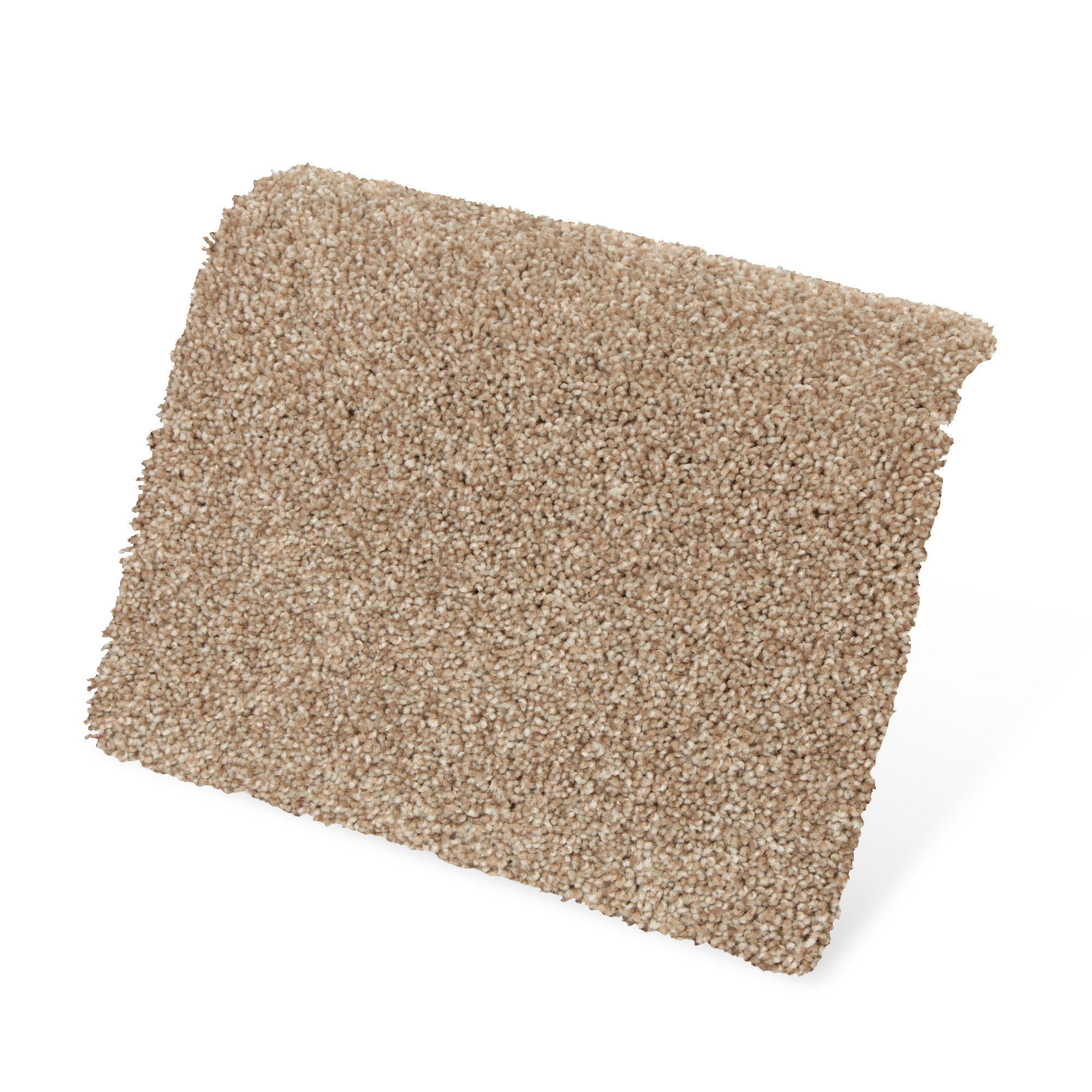 STAINMASTER PetProtect SS021-12-L012 Carpet-Panel - View #3