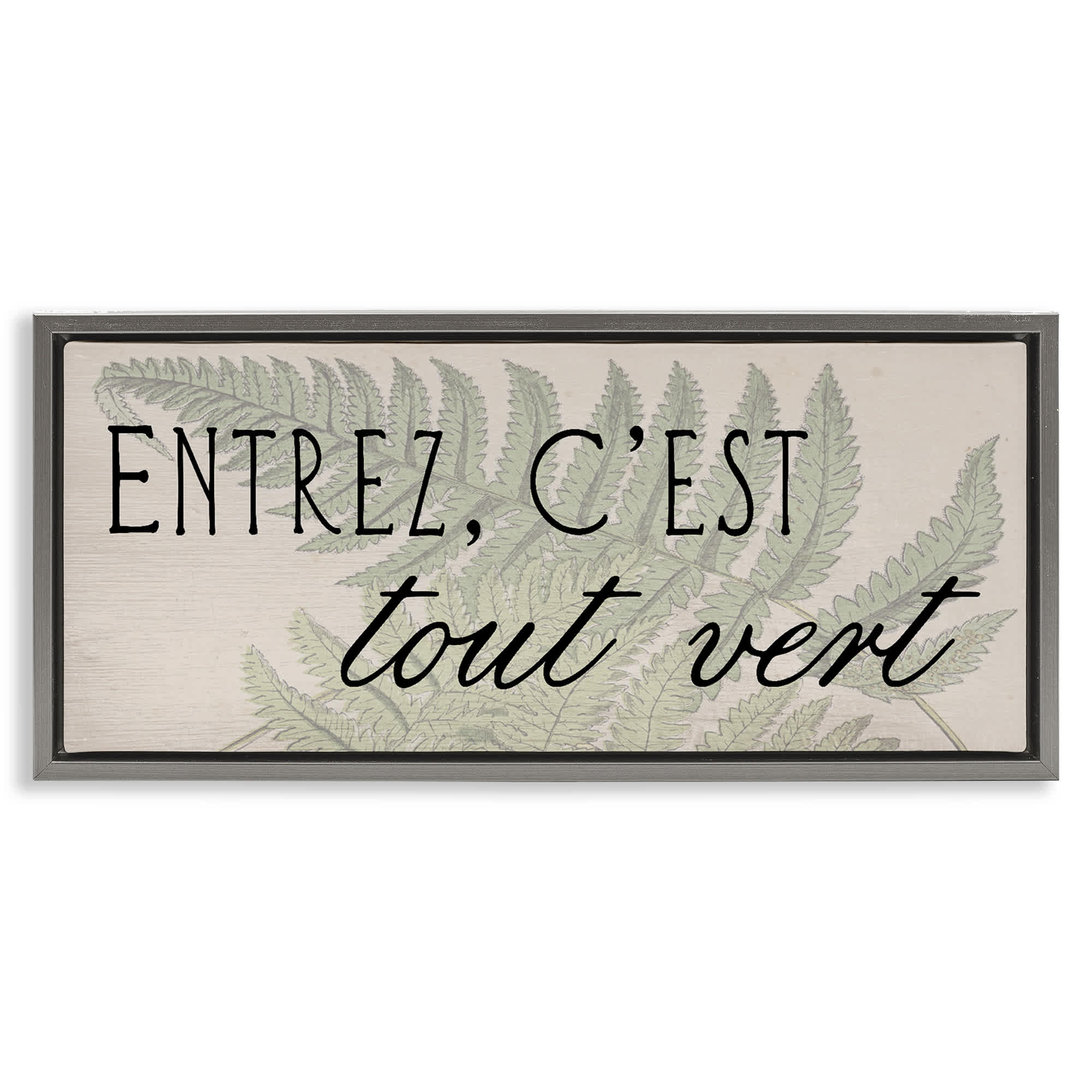 Stupell Industries BT-141-FFL-10X24 French It's All Green Gray Framed Floater Canvas Wall Art By Lil' Rue 25 x 11