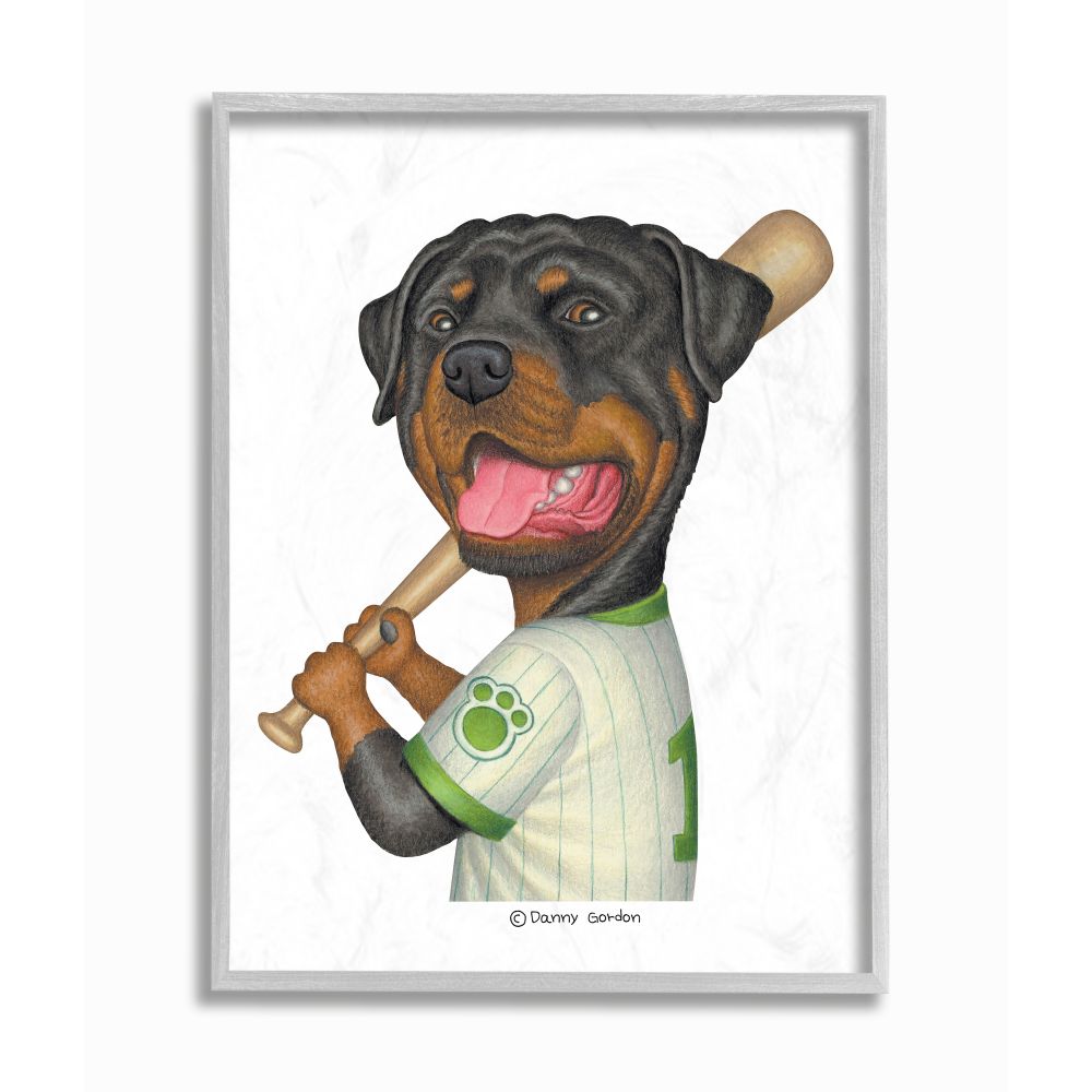 Stupell Industries Rottweiler Baseball Player Family Dog Sports Danny  Gordan Framed 20-in H x 16-in W Animals Wood Print in the Wall Art  department at 