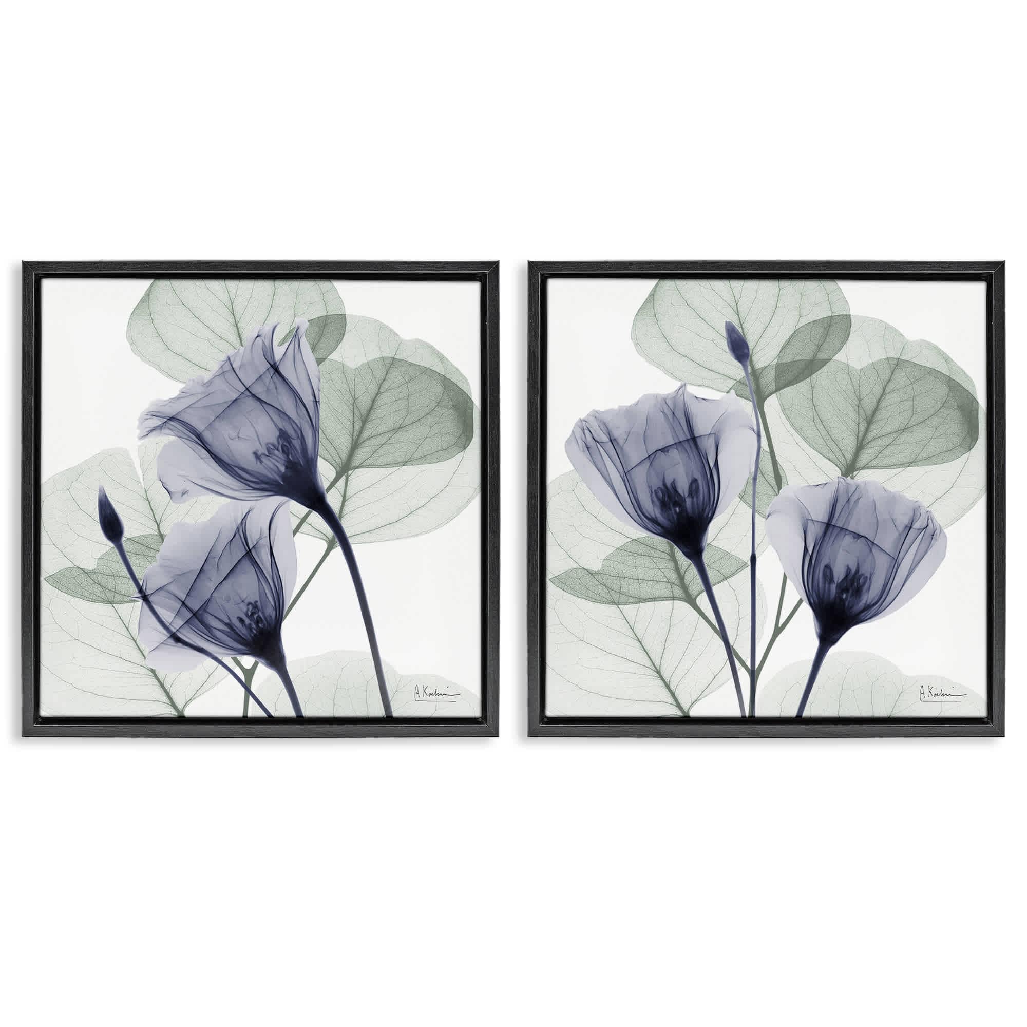 Stupell Industries B2-710-FFB-2PC-24X24 Fading Florals and Herbs 2 Piece Black Framed Floater Canvas Set By Albert Koetsier 25 x 25