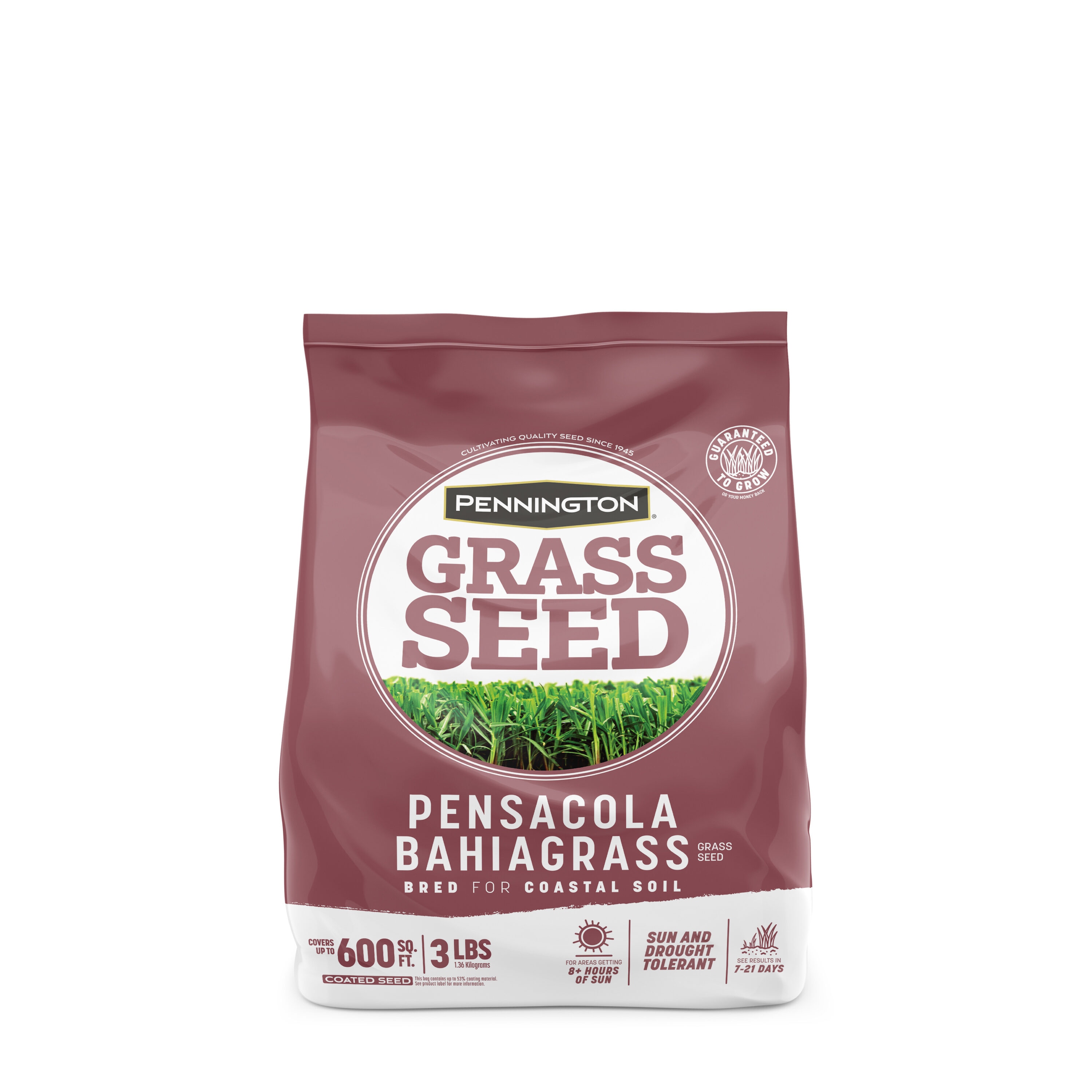 Pennington 100543689 Pensacola Bahiagrass 3-lb Bahia Grass Seed