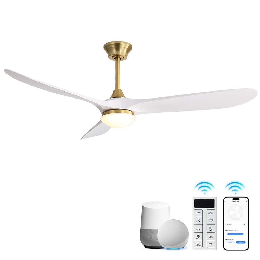 Sofucor LW-60K030SMTY-BG-WH Ceiling-Fans - View #6