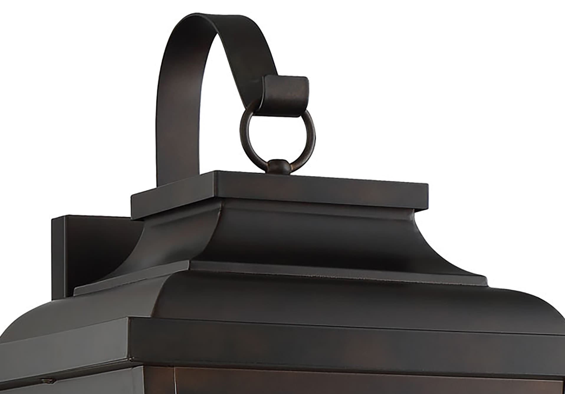 Chelesa Bronze LED Outdoor Wall Light with Clear Seeded Glass