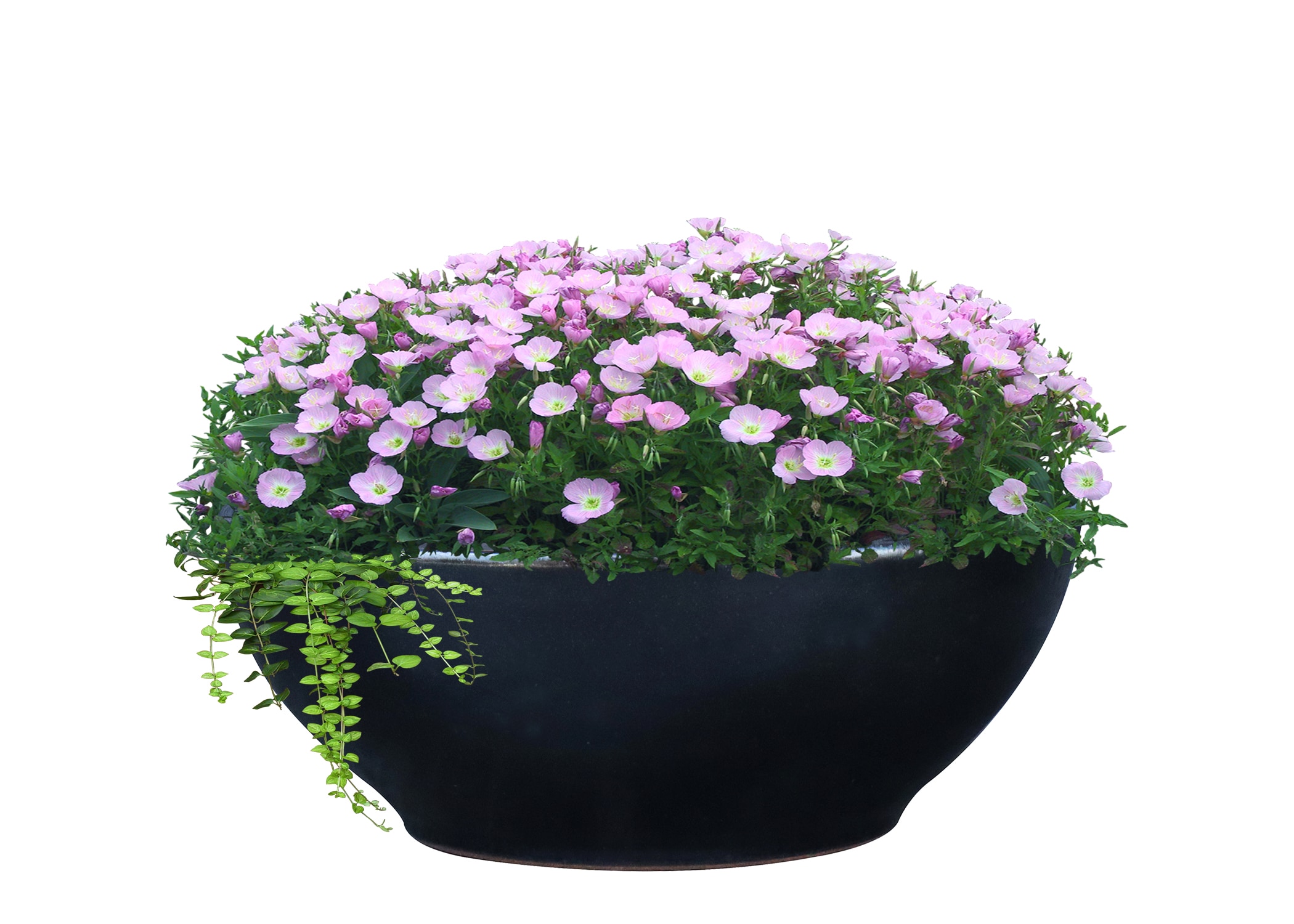 allen + roth GO2025-134 Planter-Window-Box - View #2