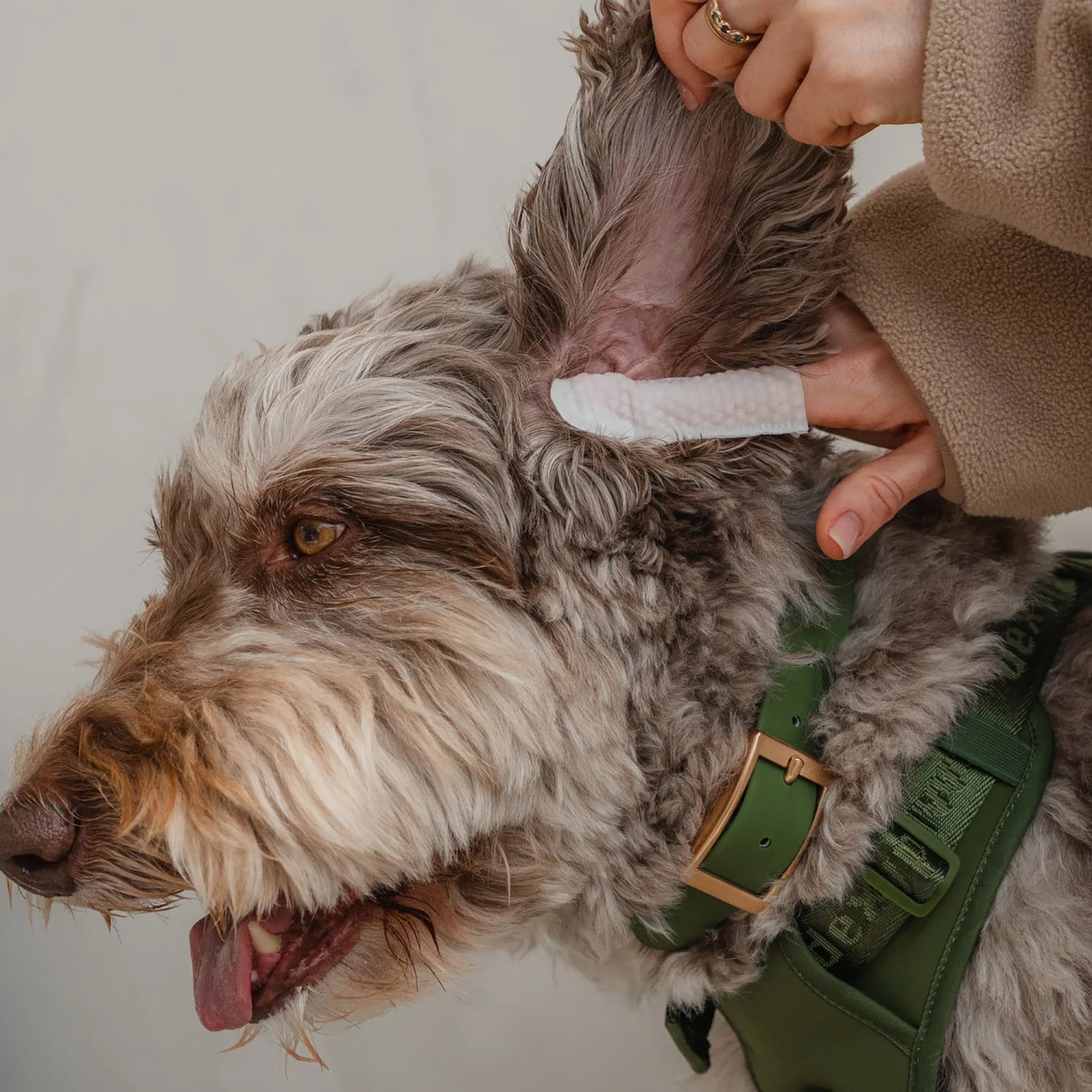 Dexypaws G0871789005766 Pet-Grooming-Supplies - View #2