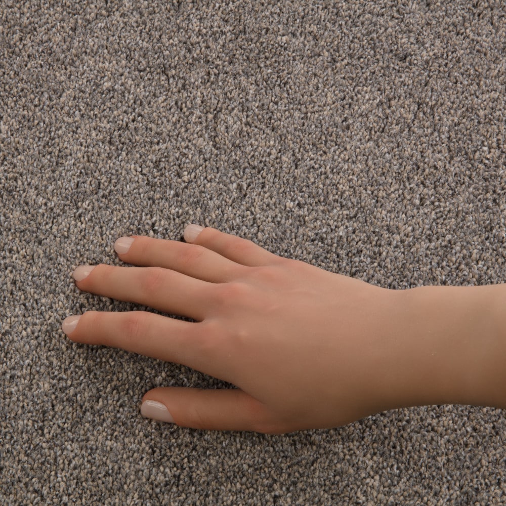 STAINMASTER PetProtect 7L968-733-SAMP Carpet-Samples - View #4