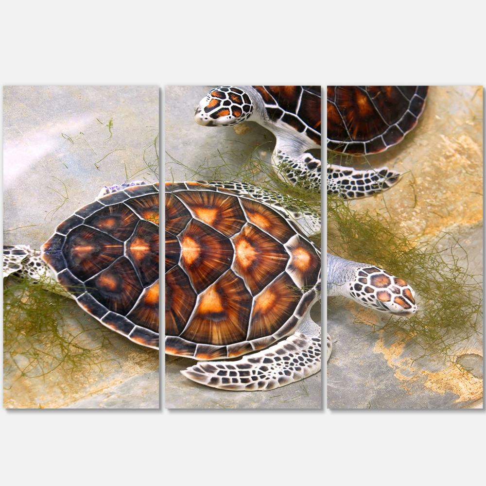 Designart 28-in H X 36-in W Animals Metal Print At Lowes.com