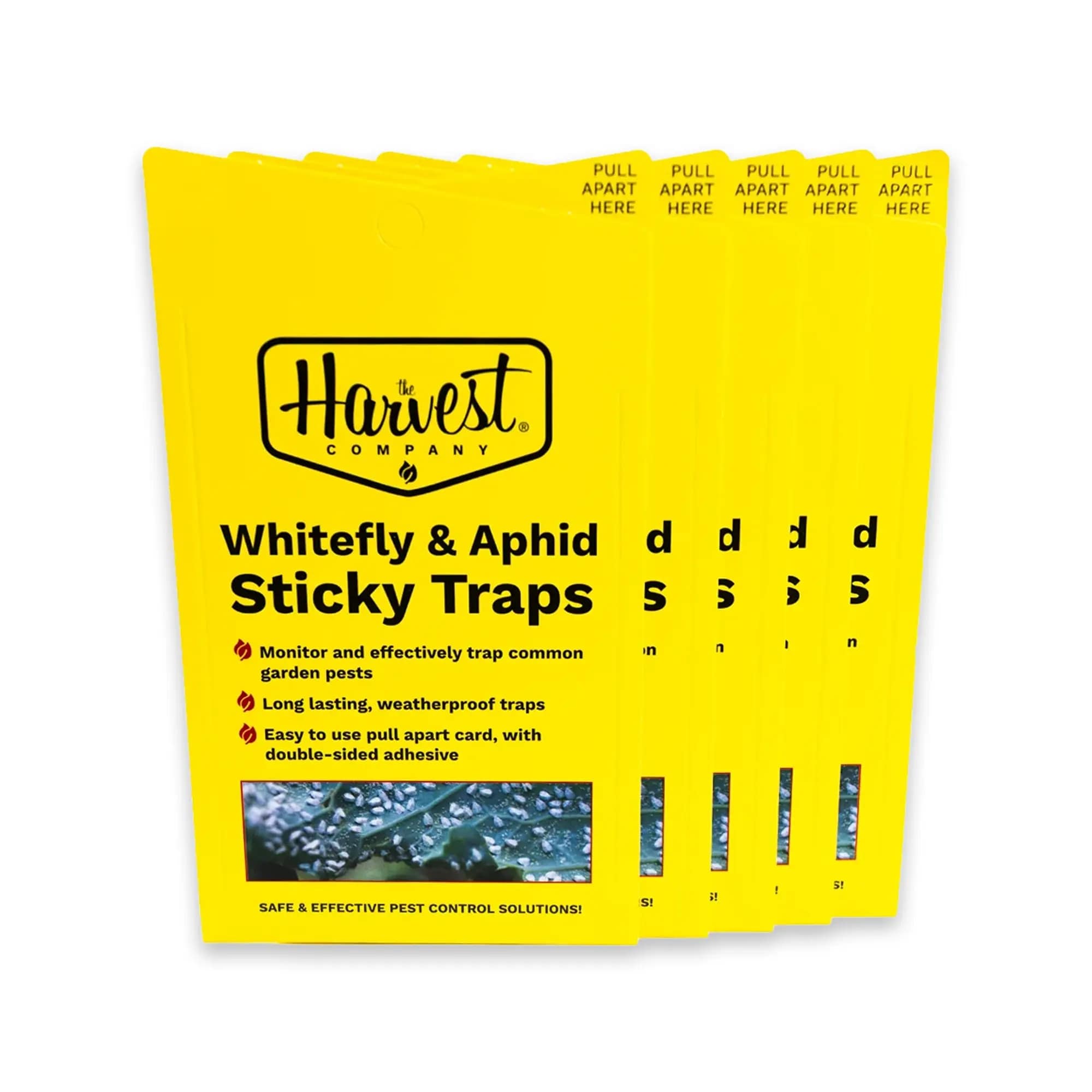 The Harvest Company Pull Apart Double Sided Yellow Sticky Bug Traps for White Fly, Aphids, Fungus Gnats Glue Glue Insect Trap 30 -Pack