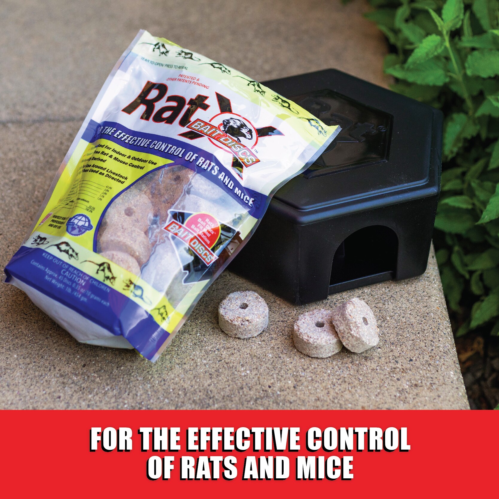 RatX Bait station Rat Killer at