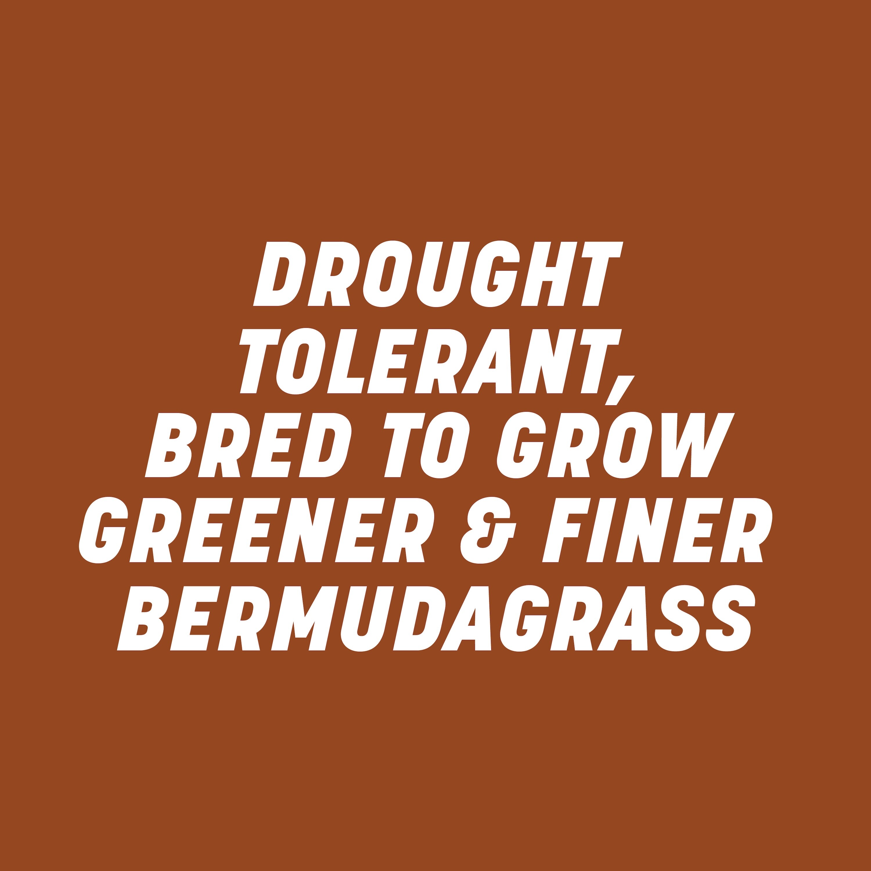 Pennington 100551770 Grass-Seed - View #6