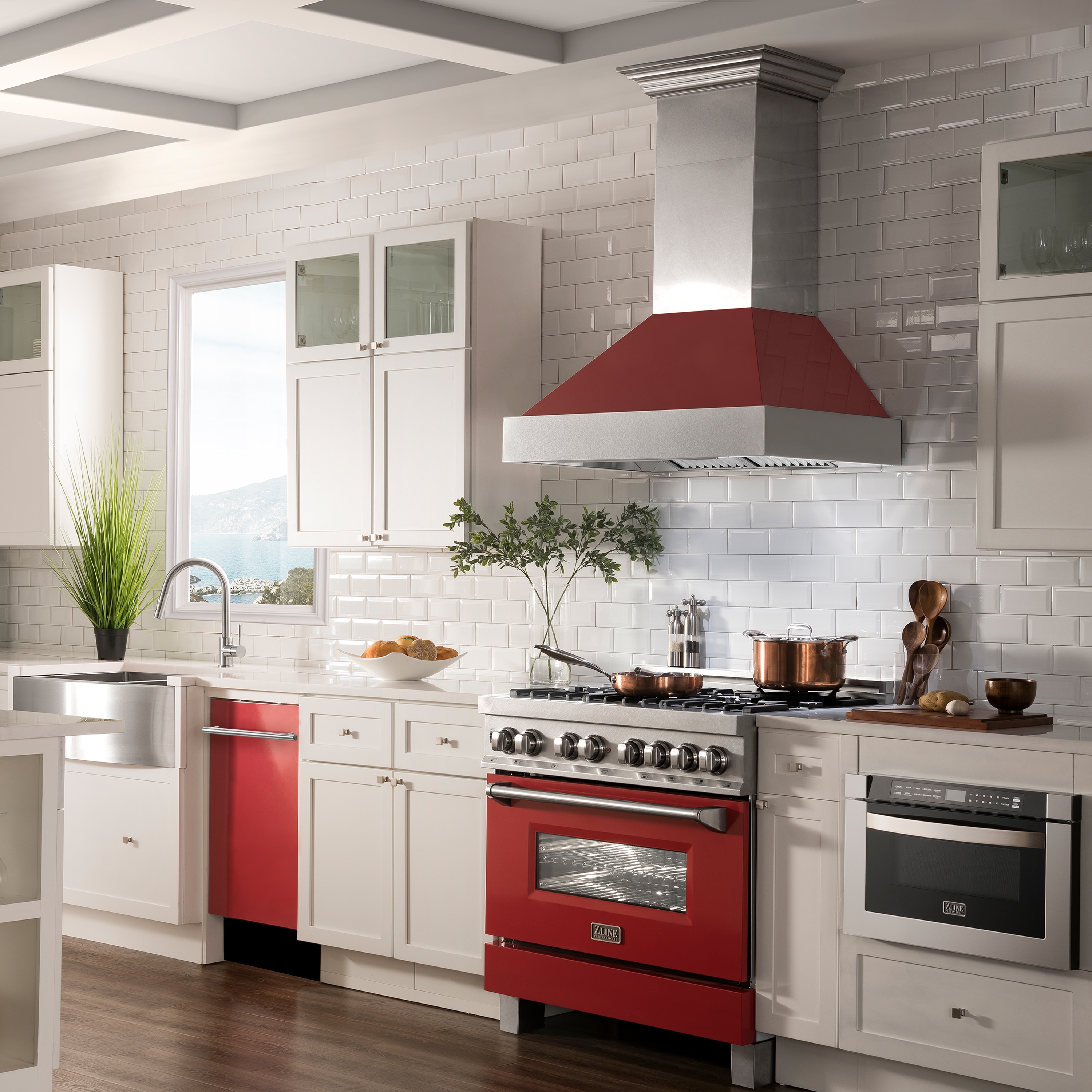 ZLINE KITCHEN & BATH DW-RG-H-18 Builtin-Dish - View #9