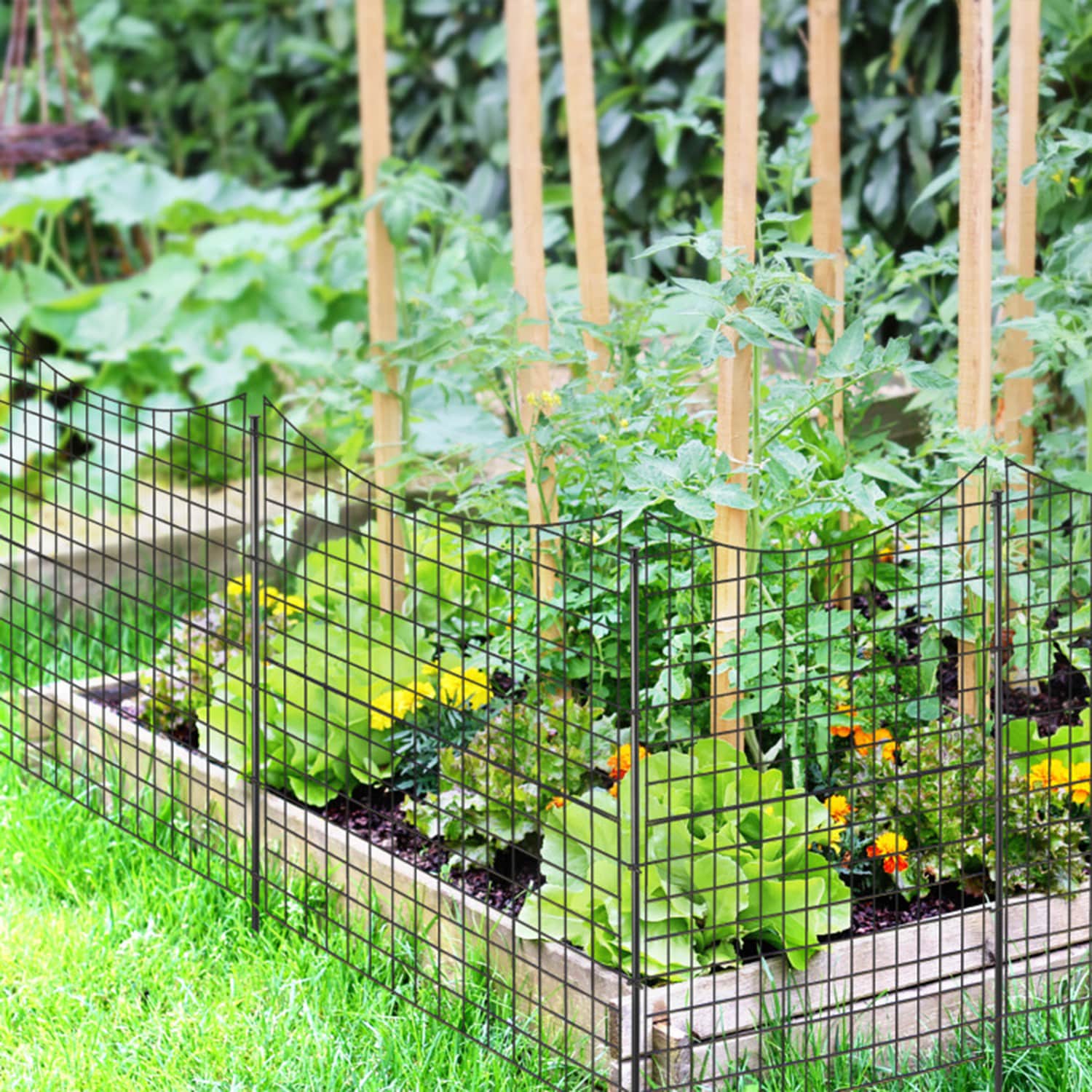 Mondawe MO-GT4046DK Fence-Gates - View #4