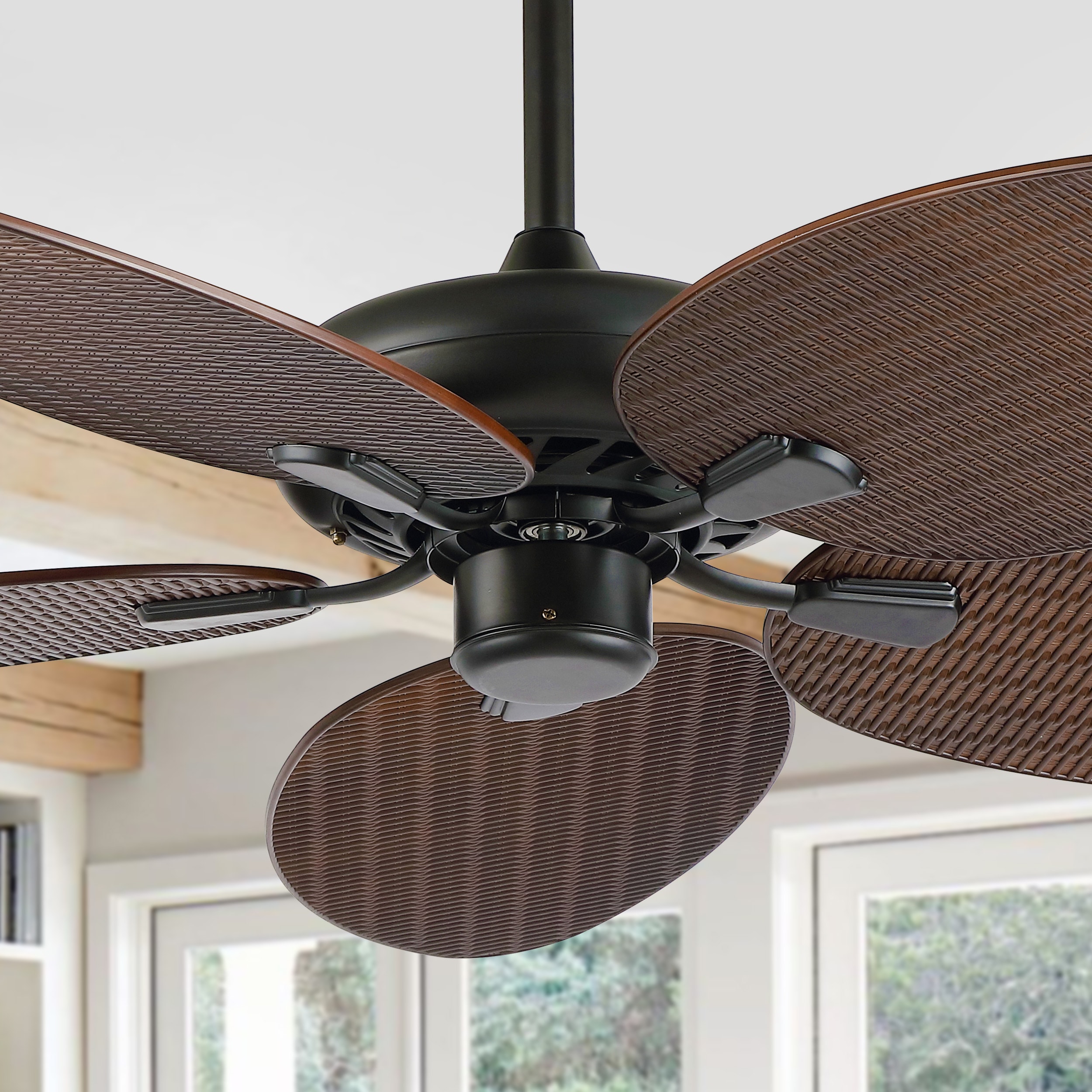 Indoor Smart Ceiling Fan And Remote