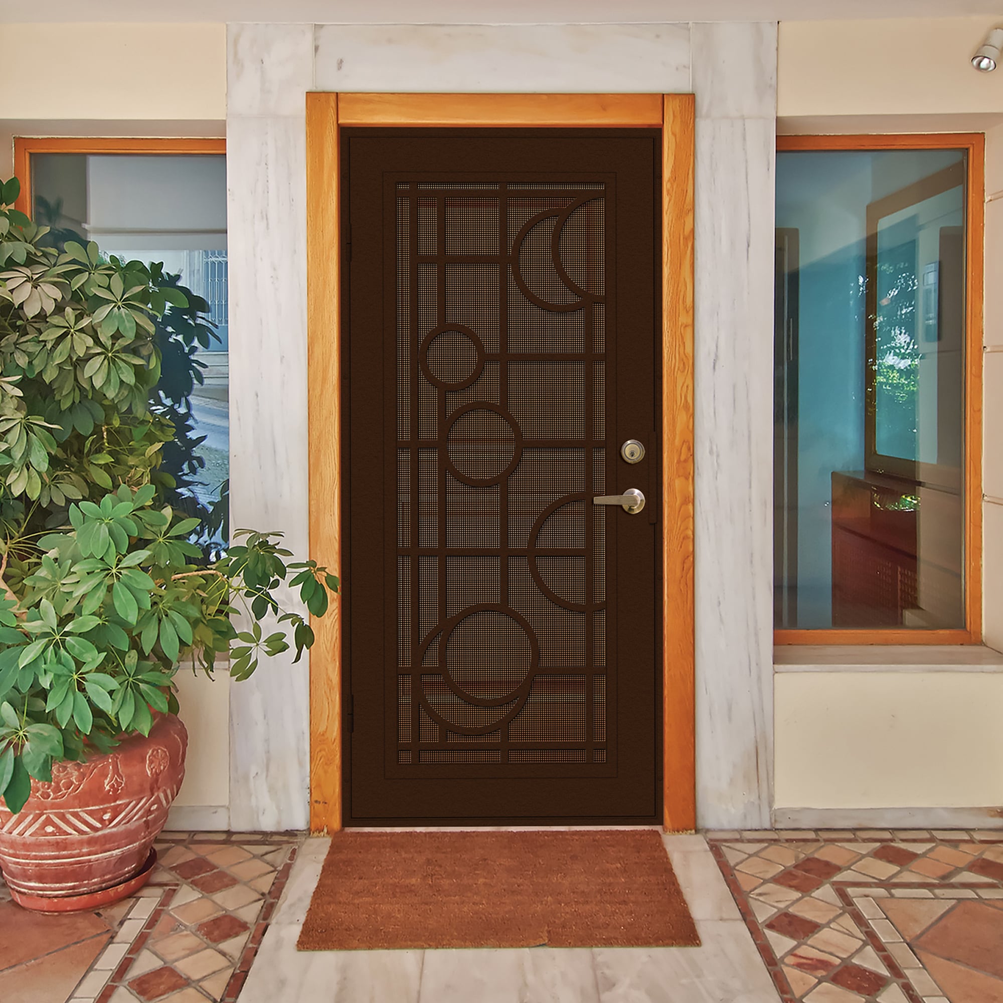 TITAN Premium Aluminum Security Door 30-in x 80-in Bronze Aluminum ...