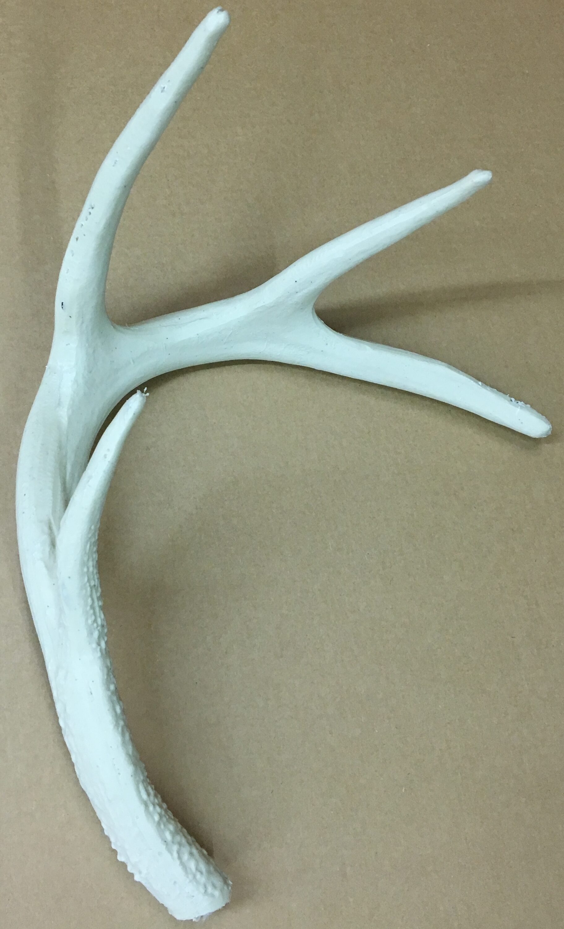Canadian Antler Design CLR-8-XL-W b090015 - View #8