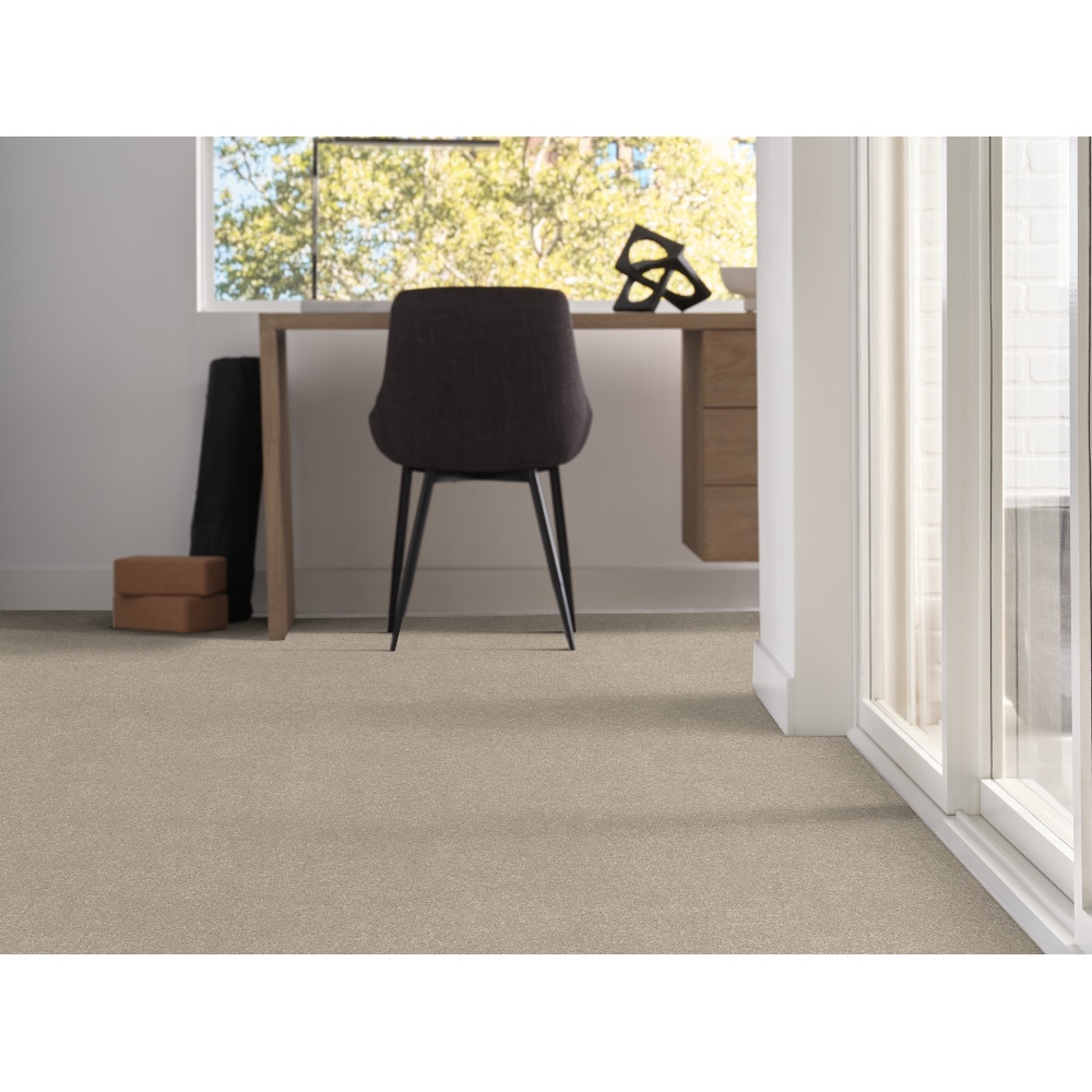 STAINMASTER 7L76800106 Carpet-Panel - View #6