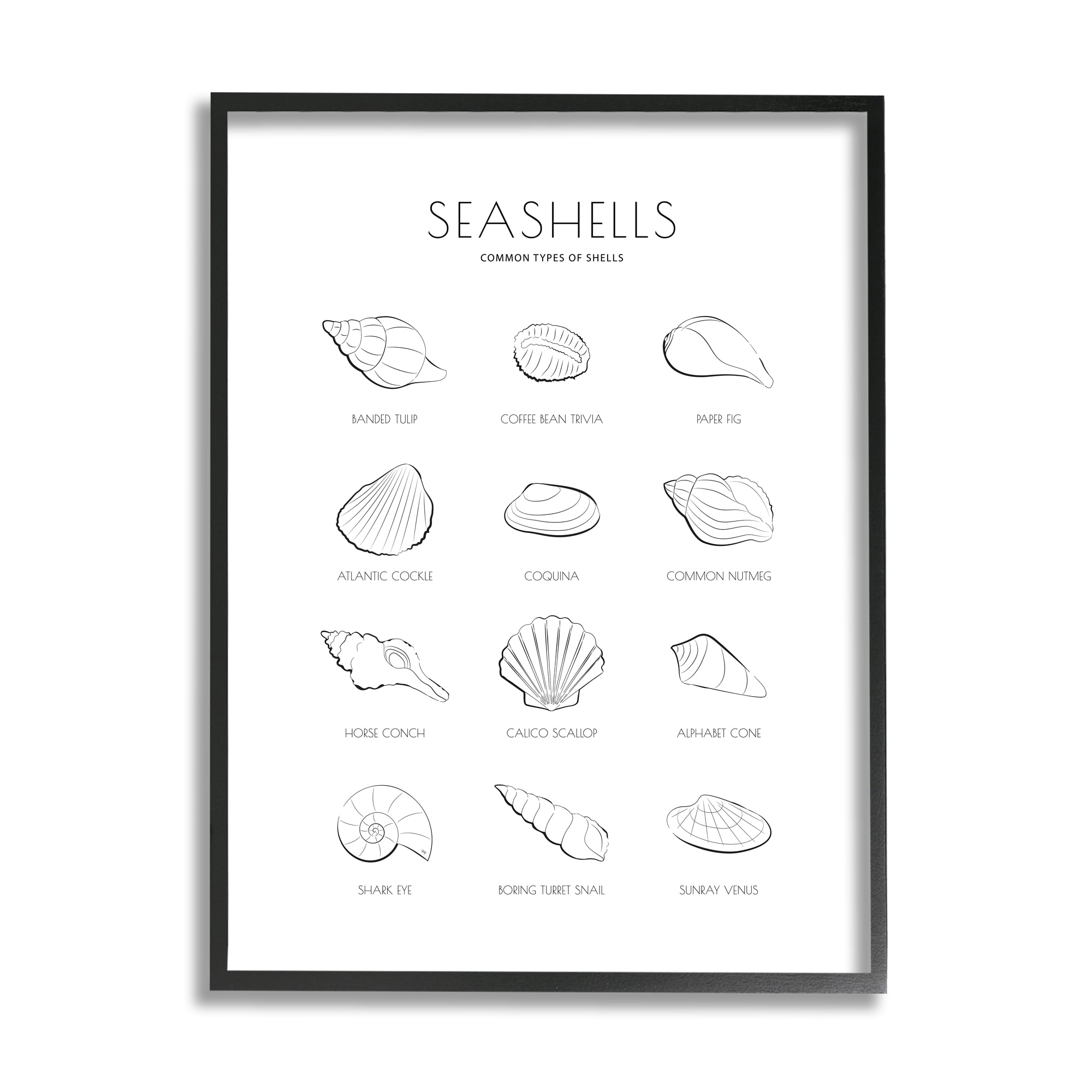 Stupell Industries AF-263-FR-24X30 Martina Pavlova Framed 30-in H x 24-in W Coastal Print