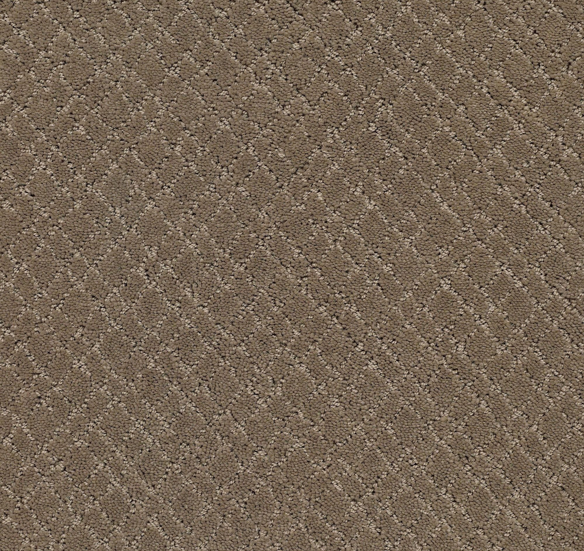STAINMASTER PetProtect 7L90000515 Unconditional Rockport Brown 35.1-oz sq yard Nylon Pattern Indoor Carpet