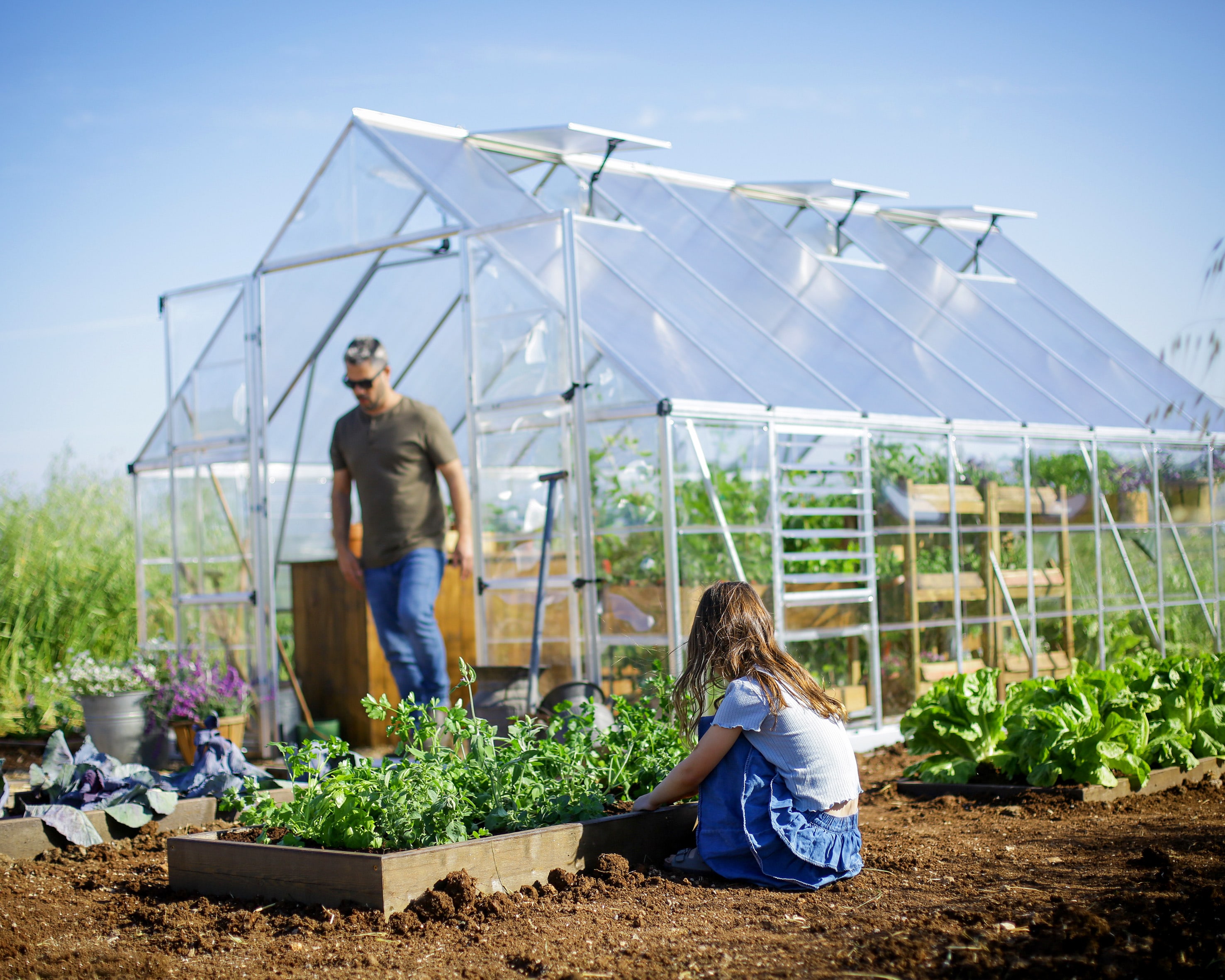 Canopia by Palram 707011 greenhouses - View #3
