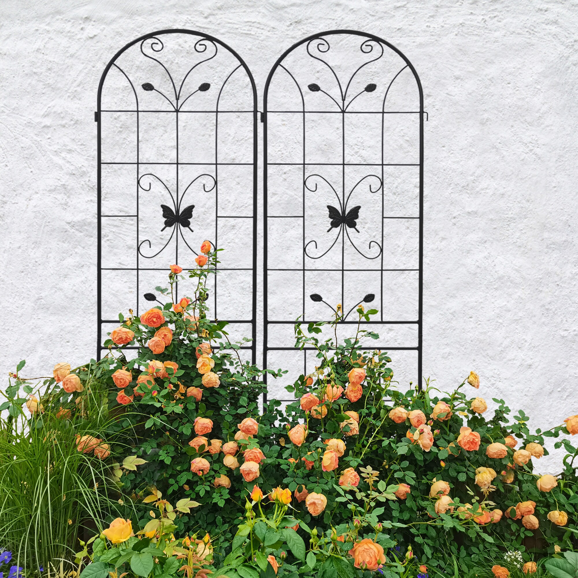 Damerin ZLY-02F Garden-Trellis - View #5