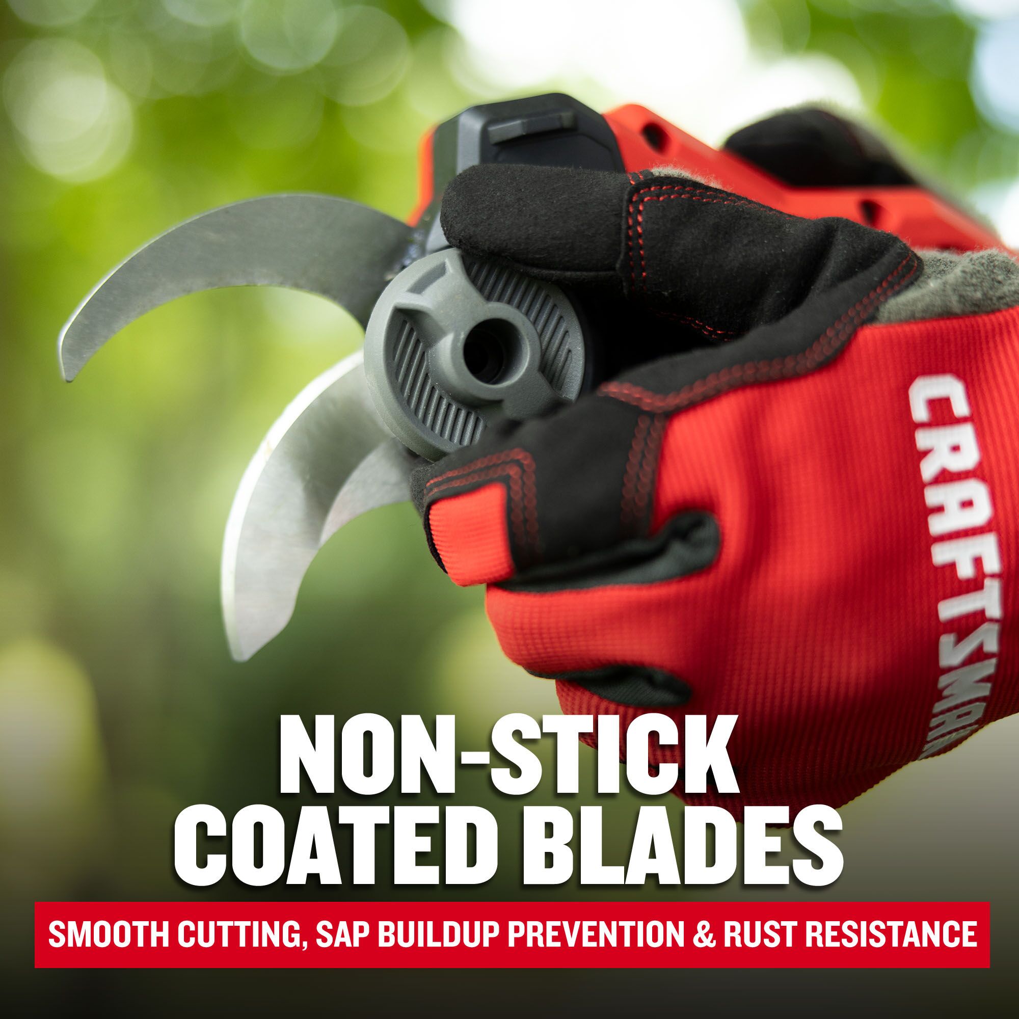 CRAFTSMAN CMCPPR320D1 Pole-Pruning - View #9
