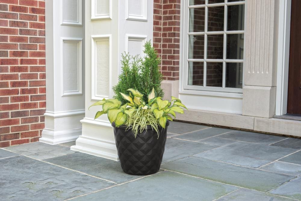 4 pack) Suncast 6-inch Indoor/Outdoor Resin Flower Planter, Black 