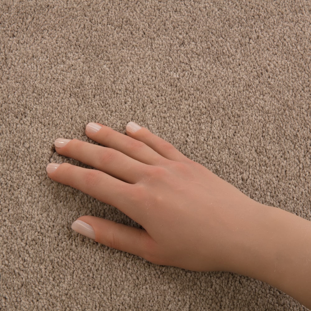 STAINMASTER PetProtect 7L972-700-SAMP Carpet-Samples - View #4