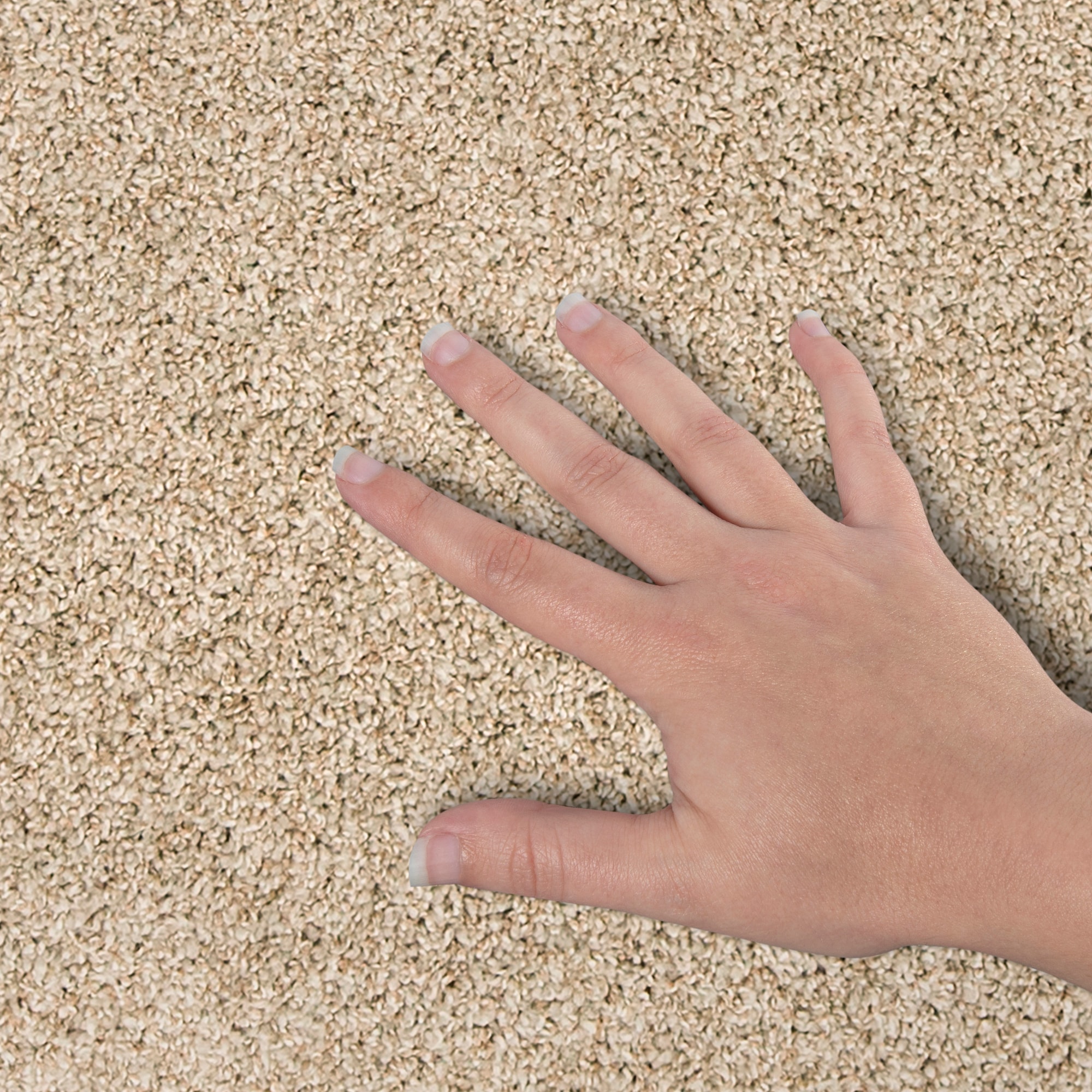 STAINMASTER PetProtect SS059-L007-S0808 Carpet-Samples - View #4