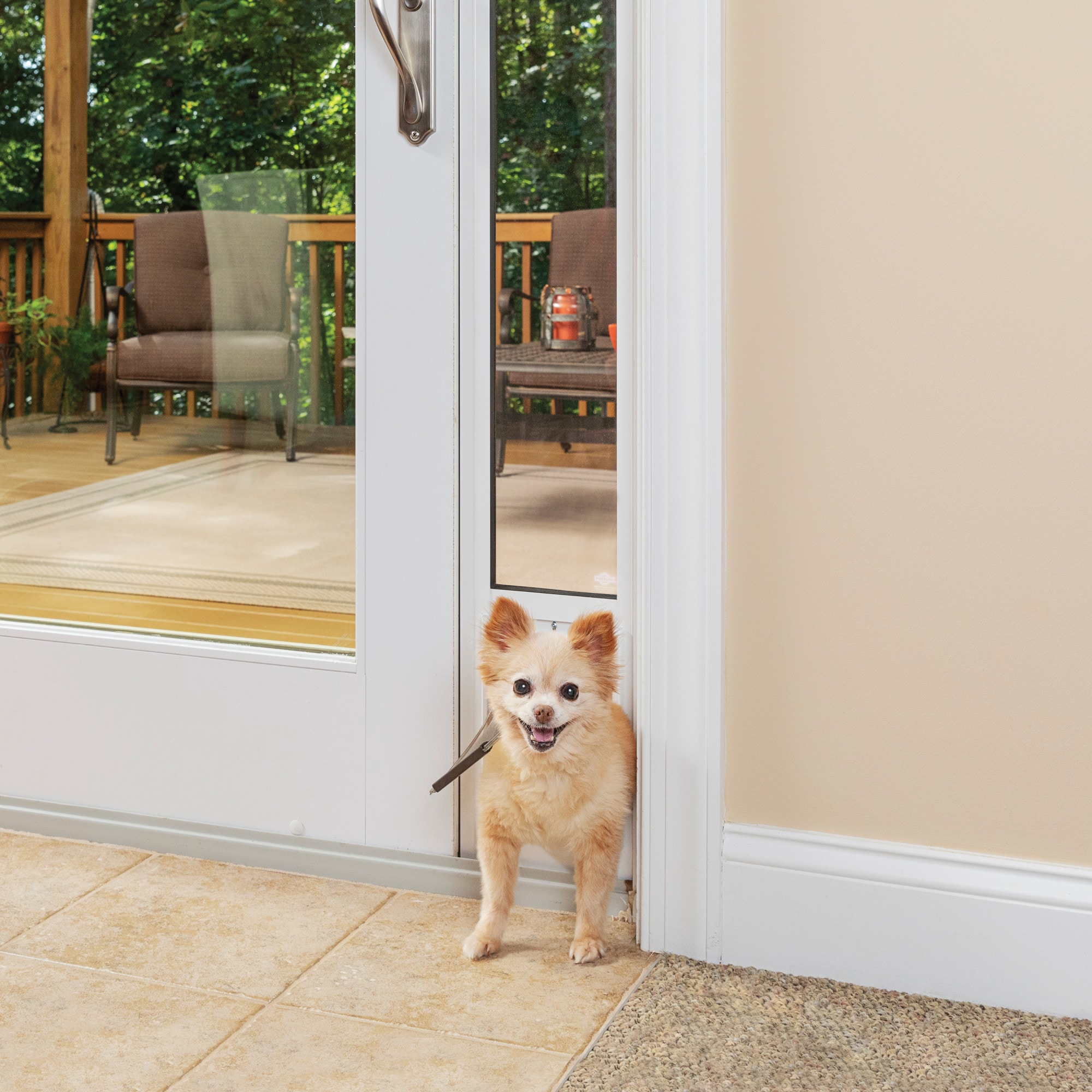 Orders small doggie door for sliding glass door