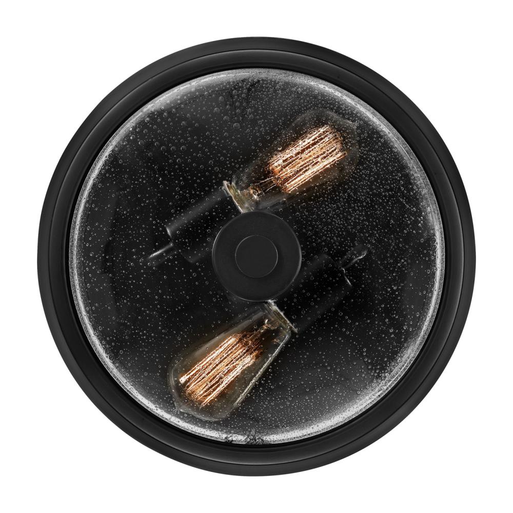 Radius Black Glass 2-Light Indoor/Outdoor Flush Mount Ceiling Light