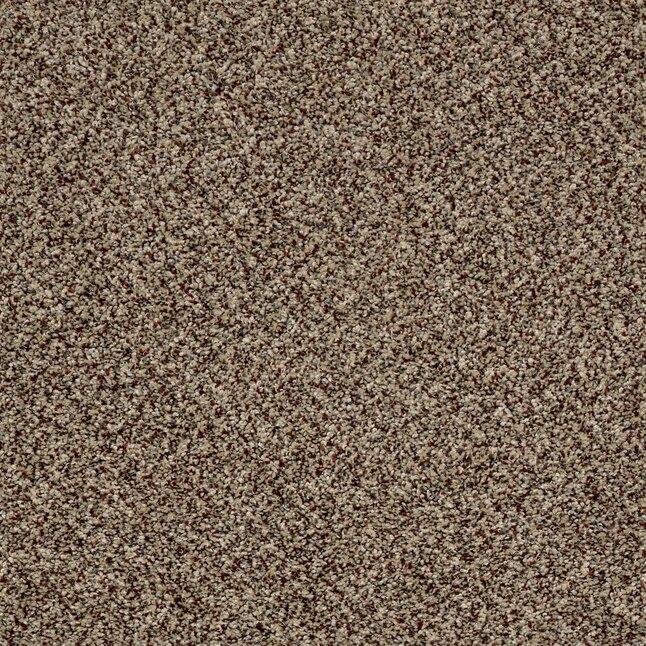 Shaw Wide Width Statuette III 12-ft- Worn Path Worn Path Textured Carpet Sample (Interior) Shaw Wide Width Statuette III 12-ft- Worn Path Worn Path Textured Carpet Sample (Interior)
