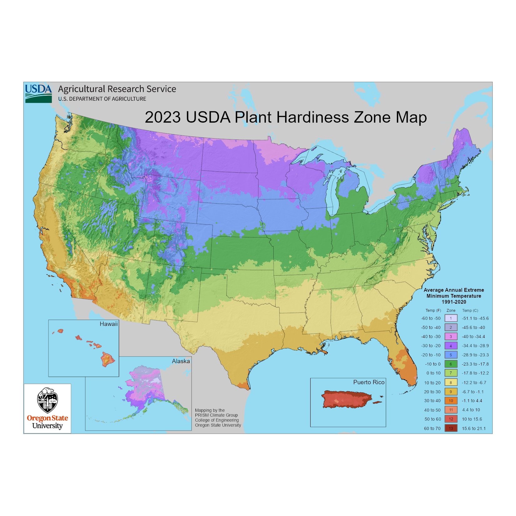 Lowe's 89859300147 hseplants - View #4