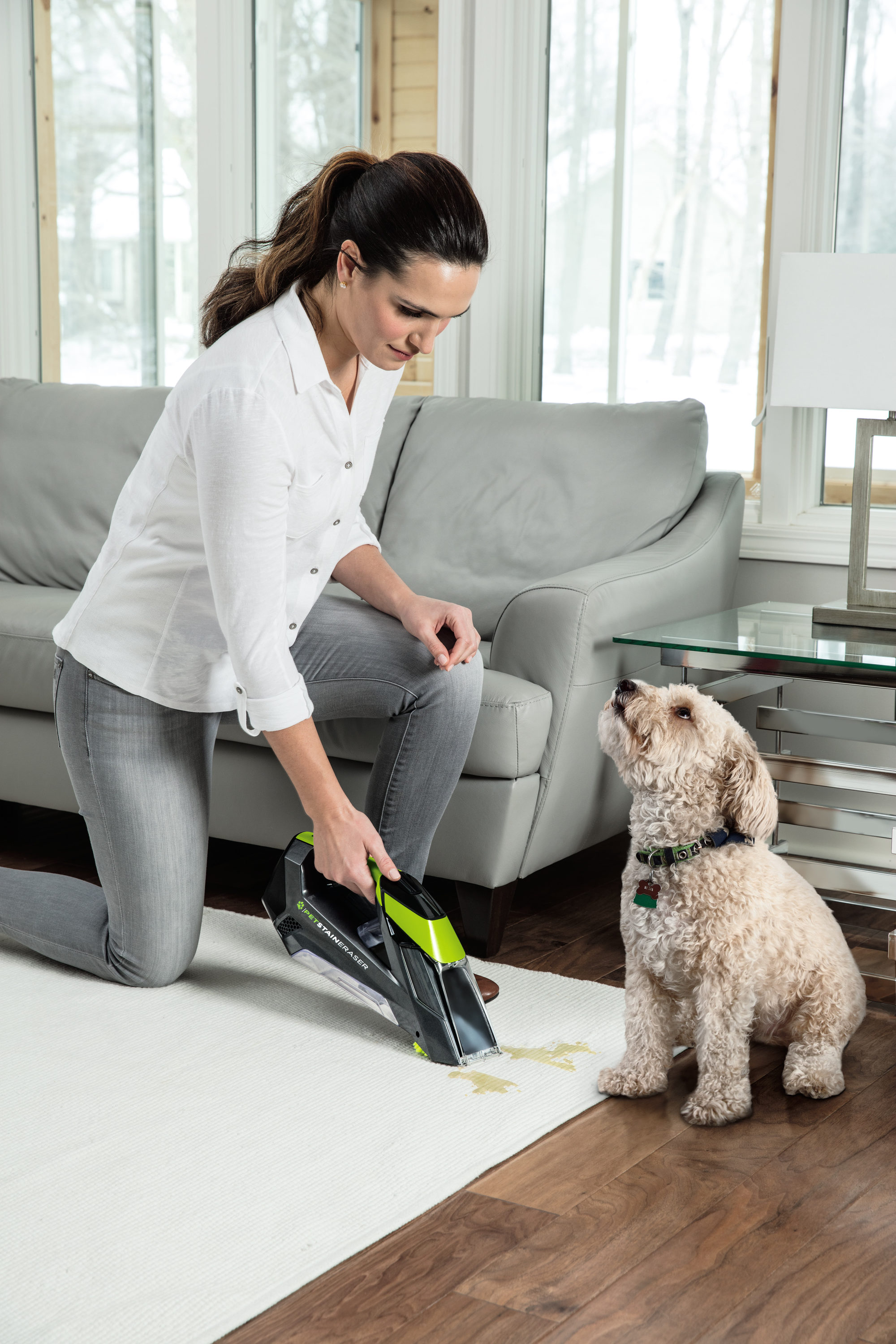 Bissell vs Black & Decker Cordless Carpet Spot Cleaner Pet Stain Eraser  Powerbrush vs Spillbuster 