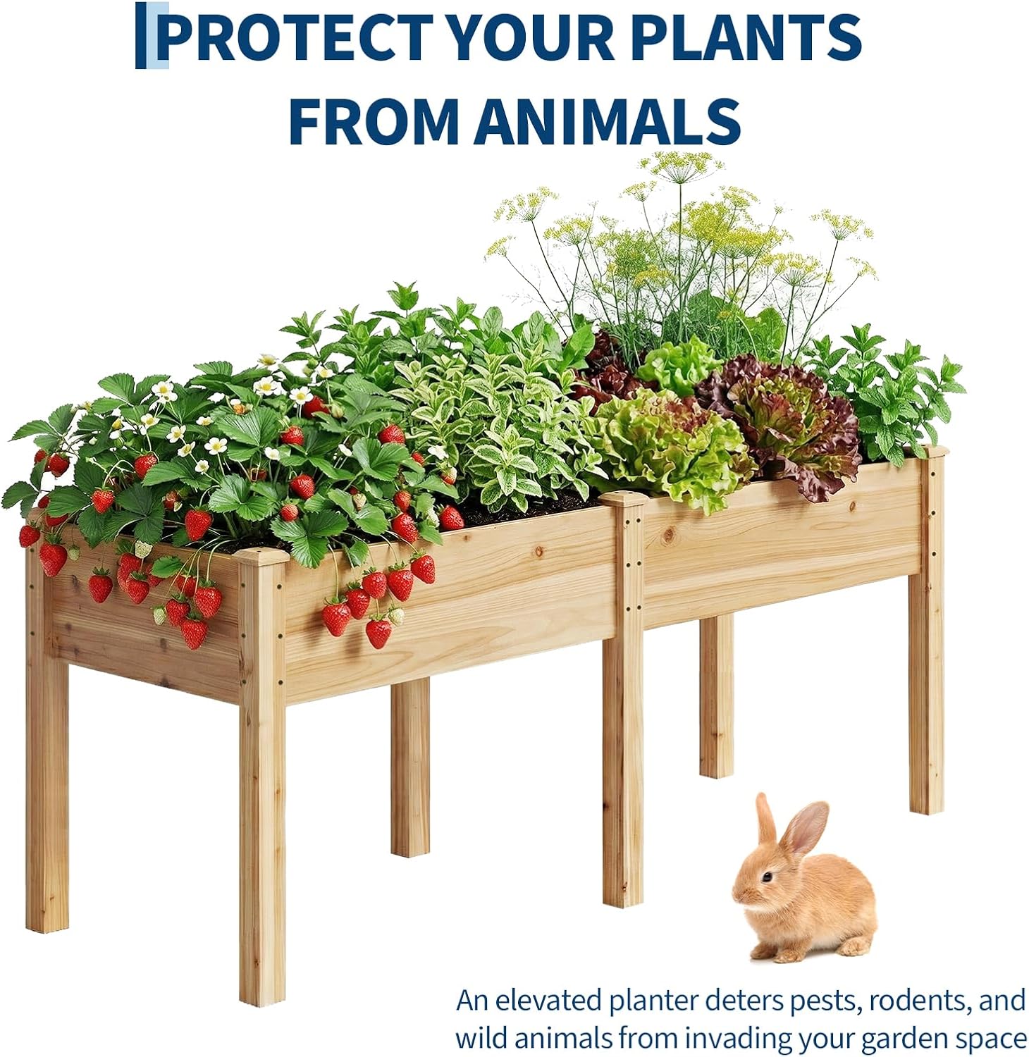 IdealHouse BOX-1PFQ-SCTE6LE3R Plant-Stand - View #5