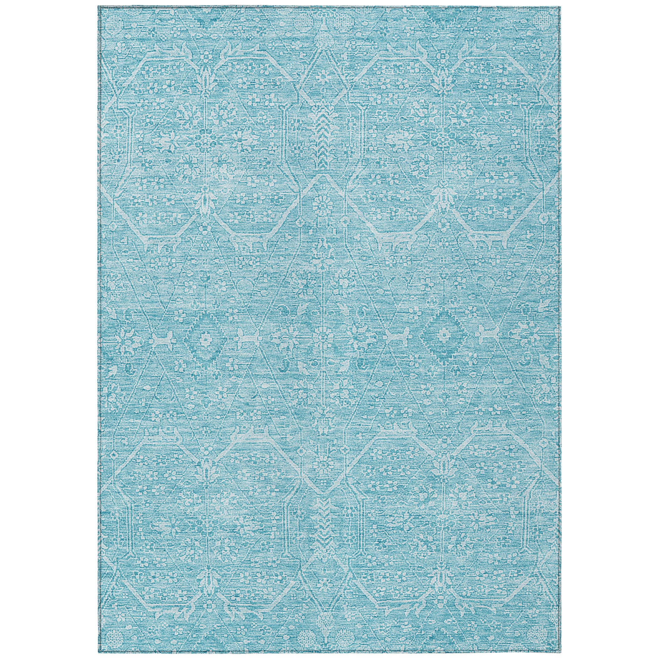 Addison Rugs ACN1224SK5X8 rugs - View #2