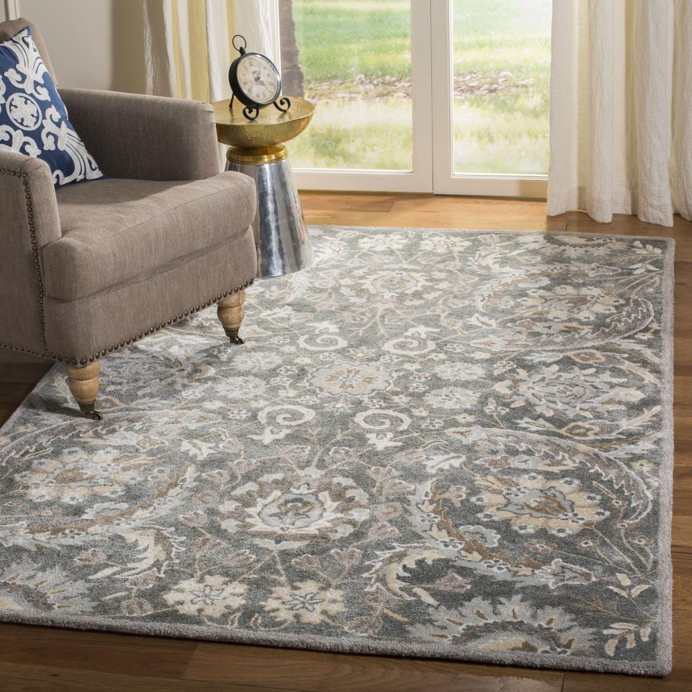 Safavieh BEL923B-5 rugs - View #2