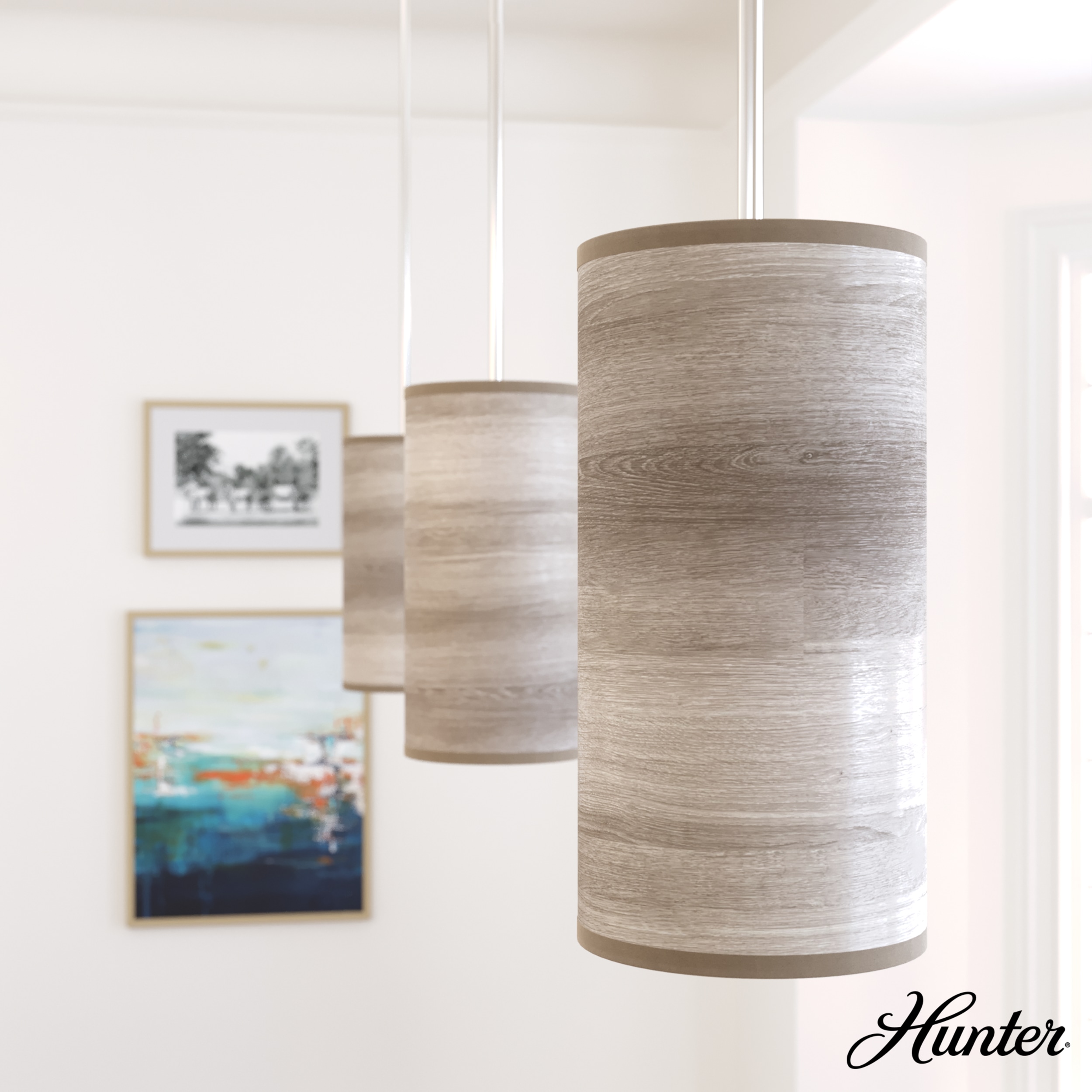 Hunter 19239 Pendant-Lights - View #3