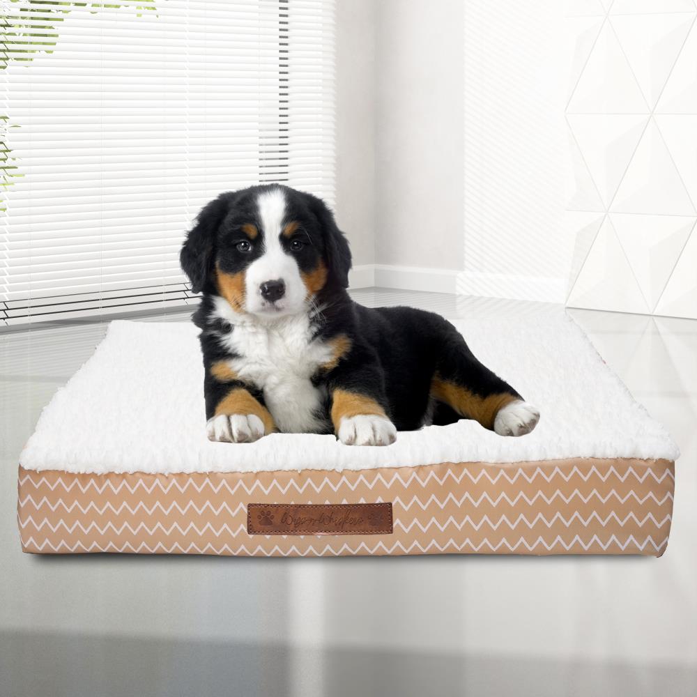 Duck River Textile CAHTP=12 /15877 Rectangular Taupe Polyester Orthopedic Dog Bed ( Small )