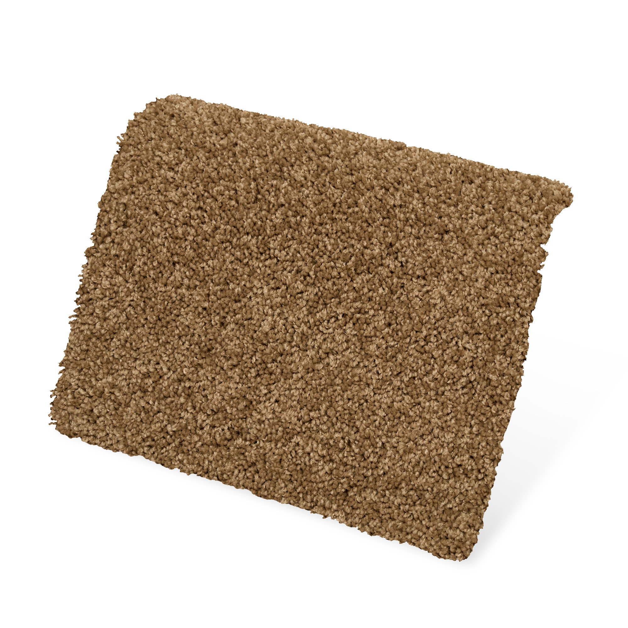  SS026-12-L005 Carpet-Panel - View #3