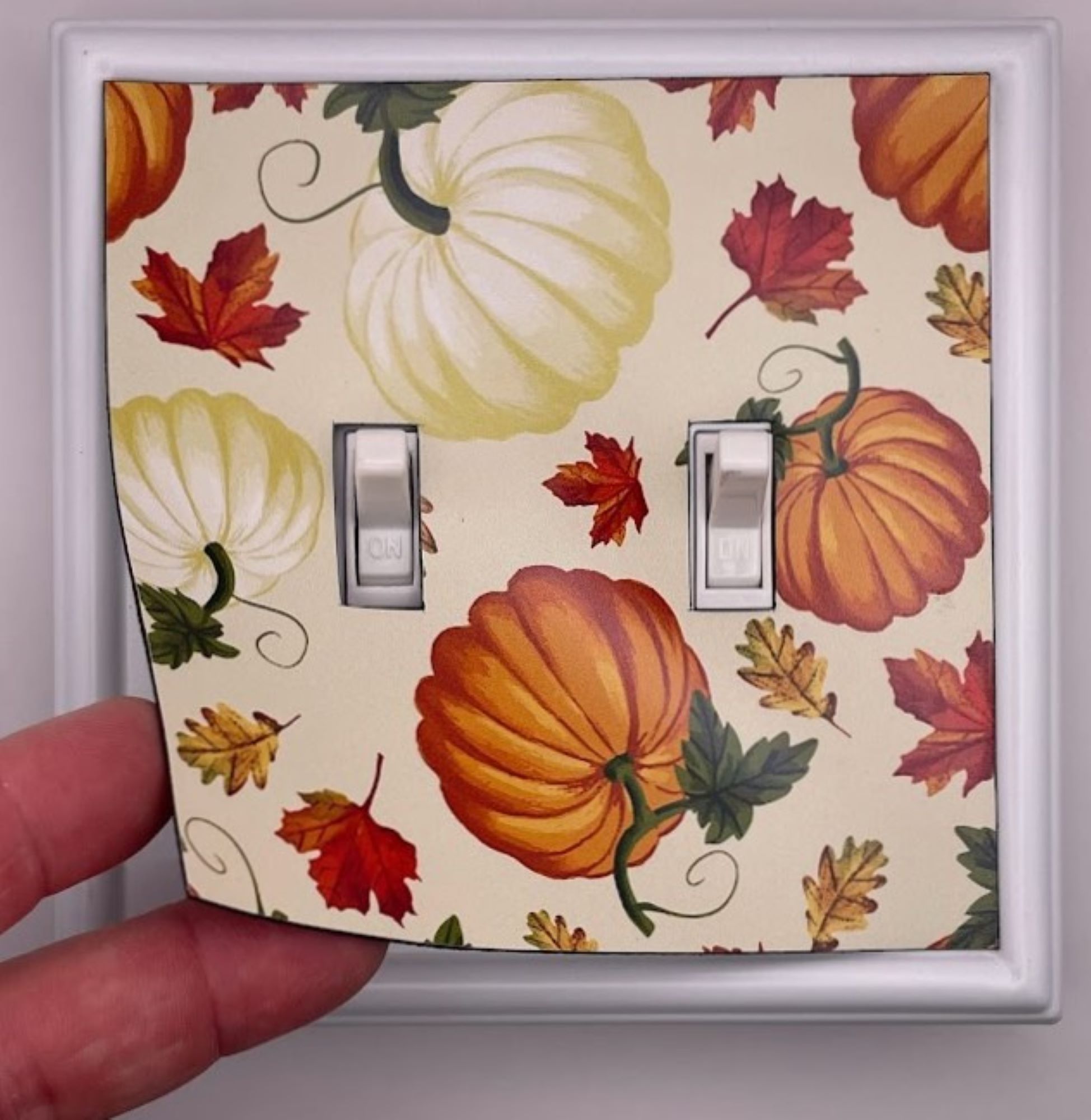 Switch Ups 423638 Electrical-Wall-Plates - View #3