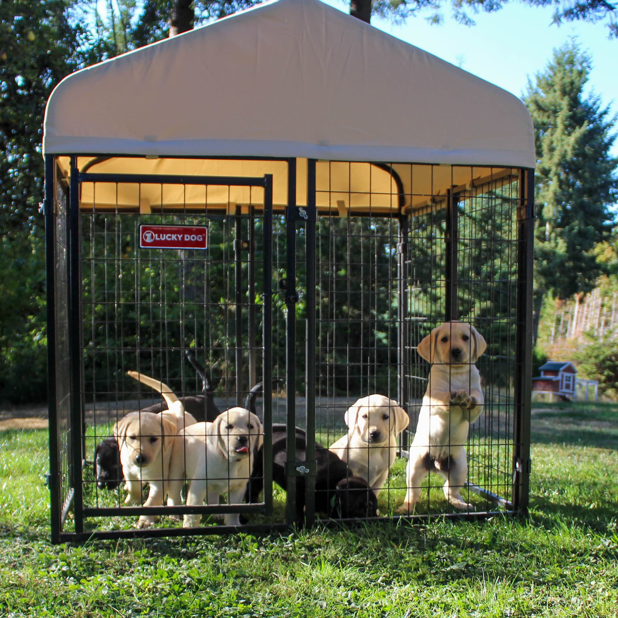 Lucky Dog Polyester Dog Kennel Roof Medium 4 ft L x 4 ft W x 4.33 ft H