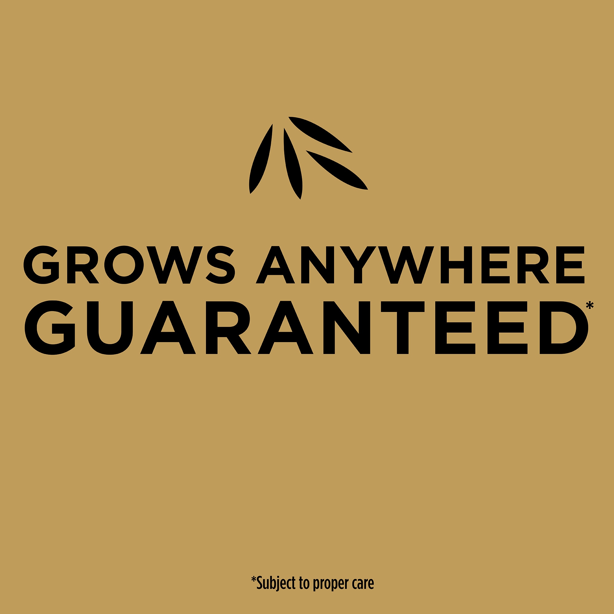Scotts VB02425 Grass-Seed - View #3