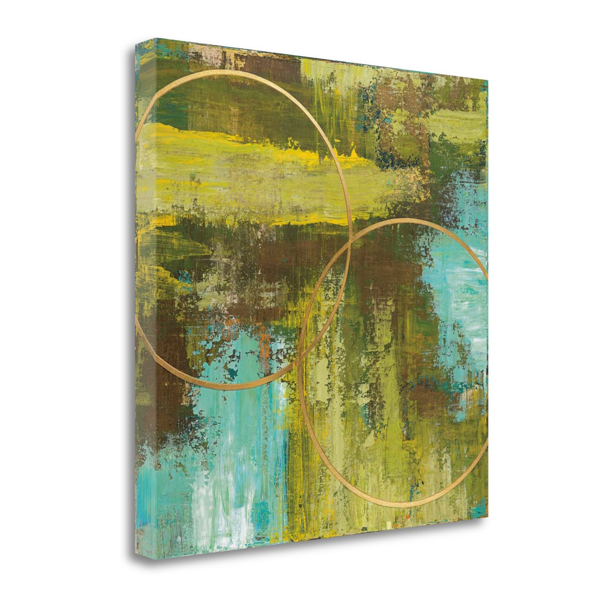 Tangletown Fine Art CA304124-2020C Aller Chartreuse Patrick St.Germain 20-in H x 20-in W Abstract Print on Canvas